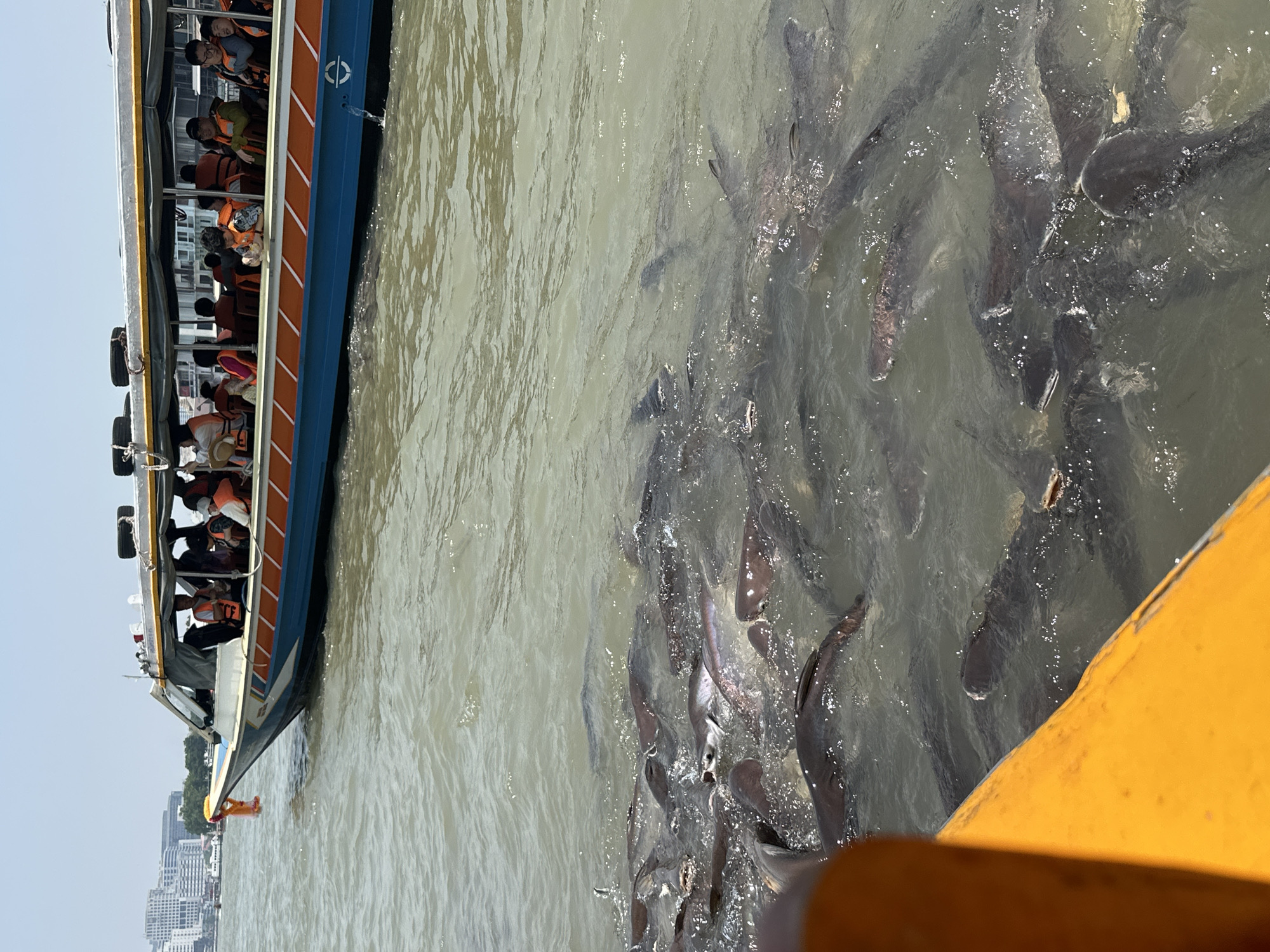 Early morning temple sightseeing boat tour captures Wat Arun views