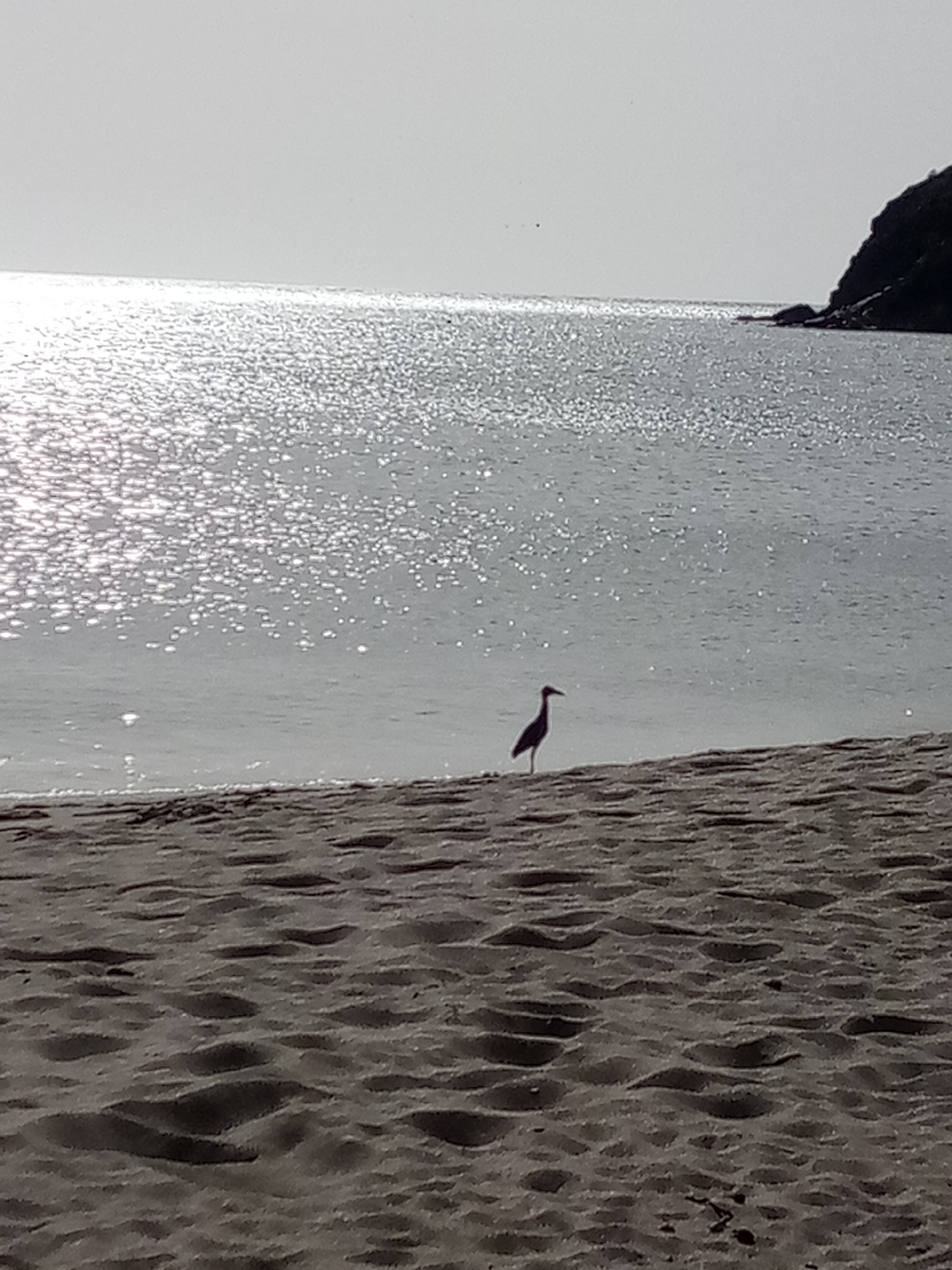 Evening beach life documented in Juan Griego, Venezuela