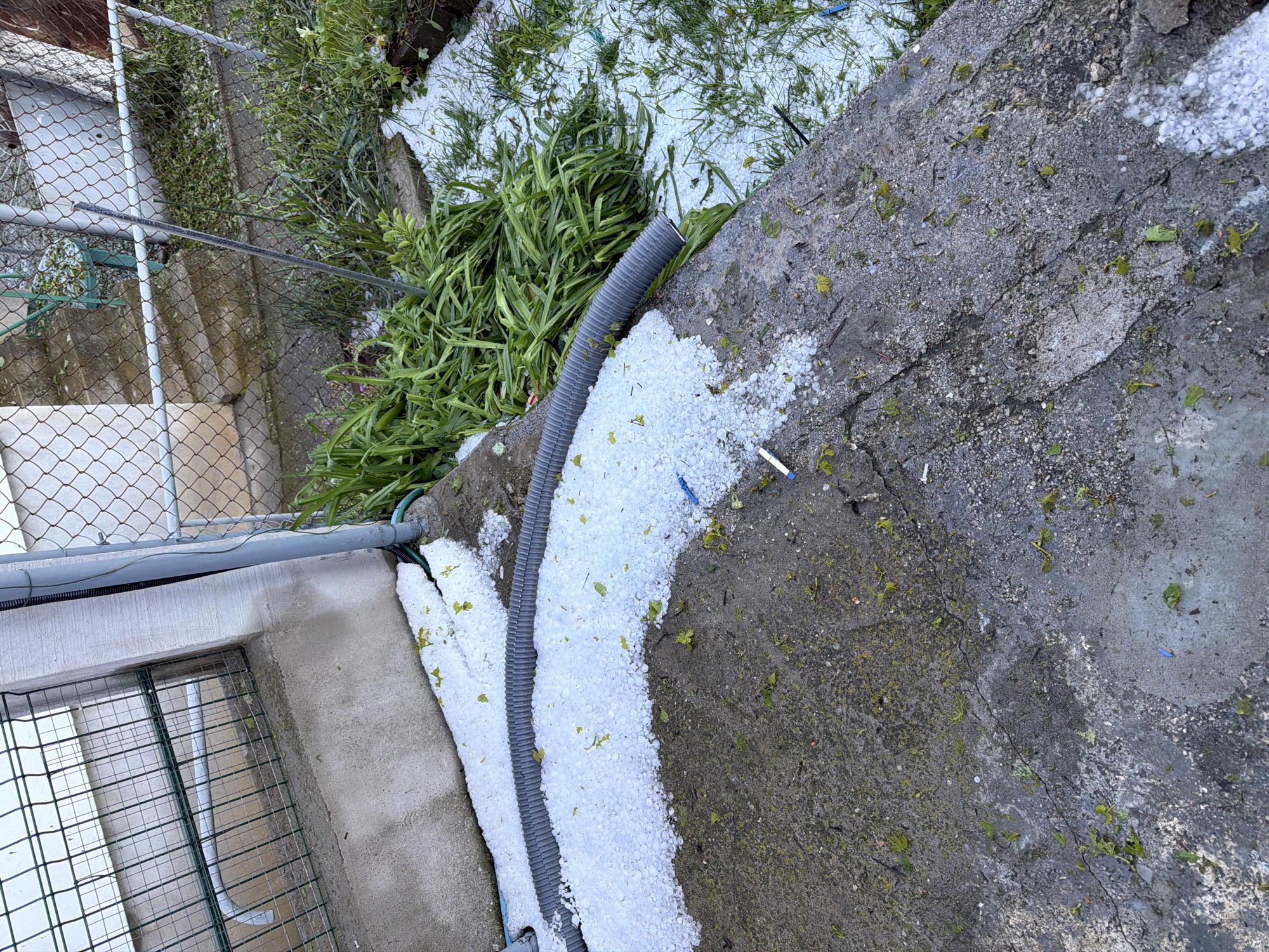 Hailstorm documented in Bulgarian village, witness shows size comparison