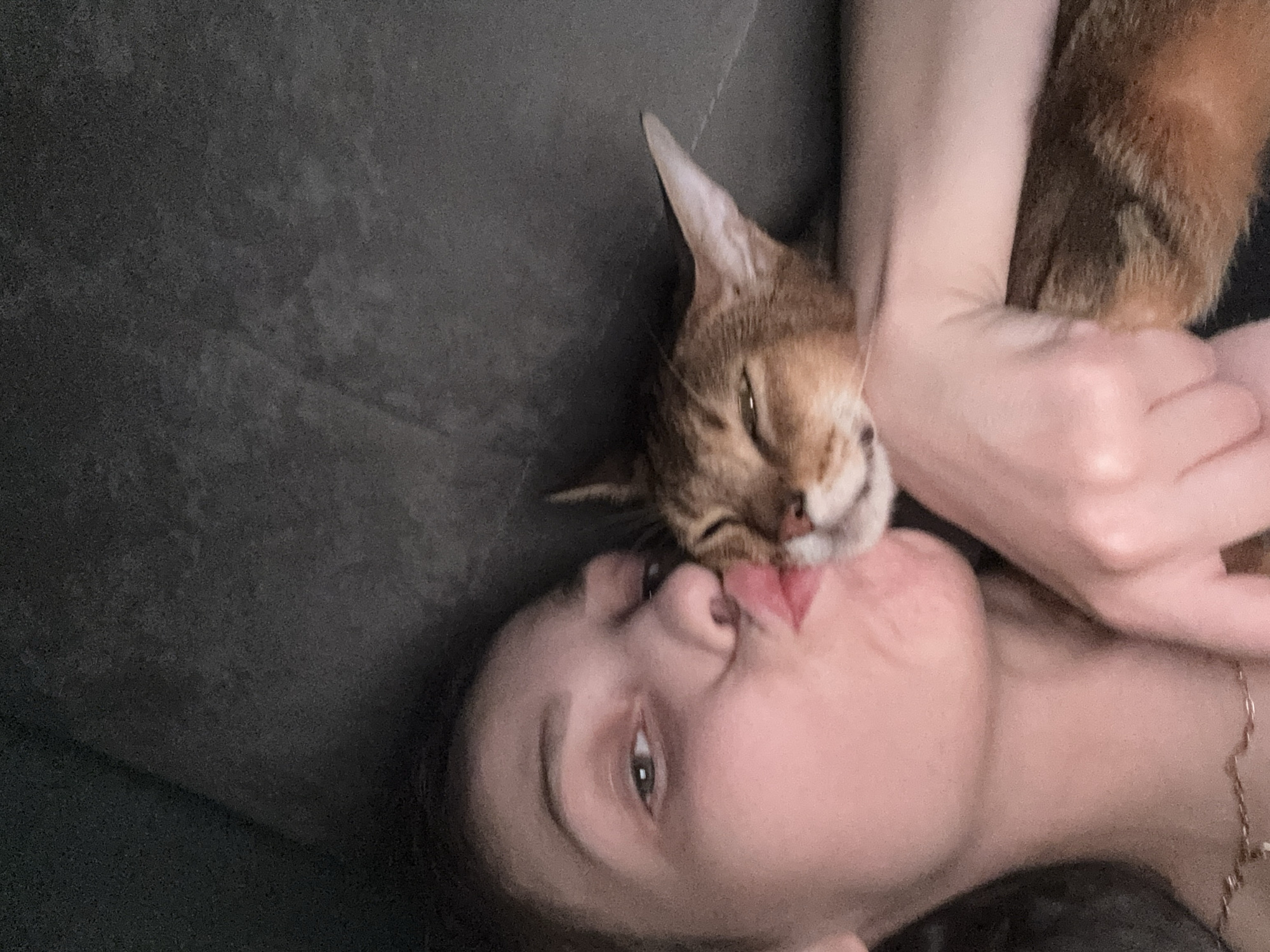 Cozy evening at home with an Abyssinian cat in Russia