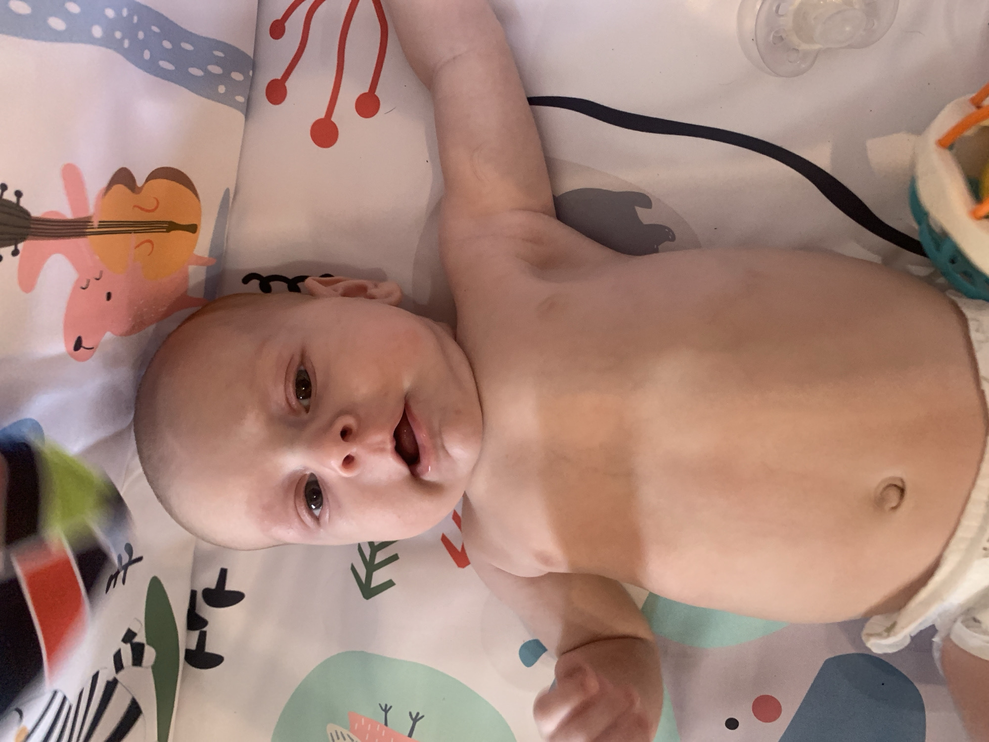 Afternoon snapshots: panther portraits, a baby, and a farrier in Omsk