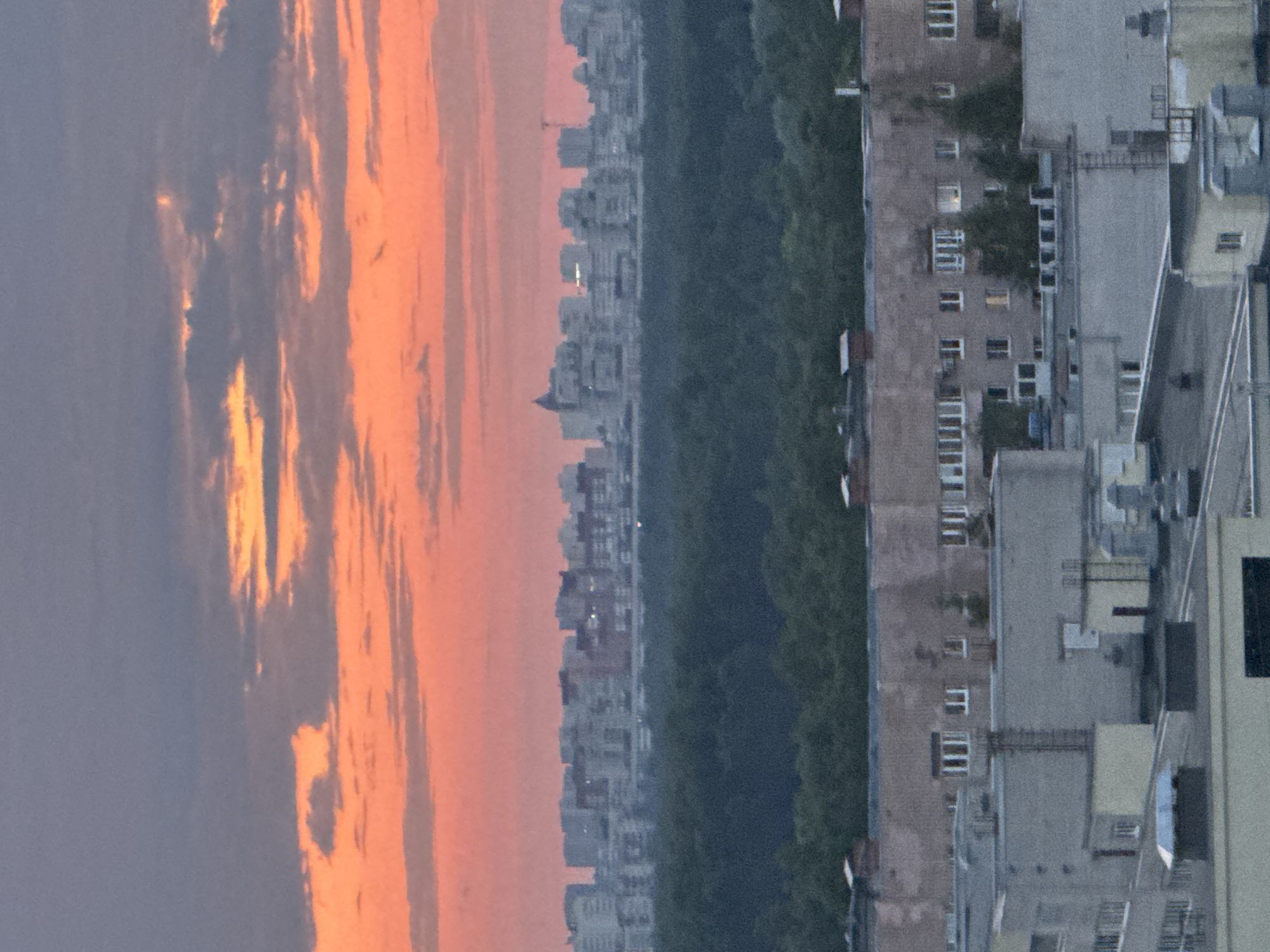Woman documents evening at home with selfies, puppy, cityscape views