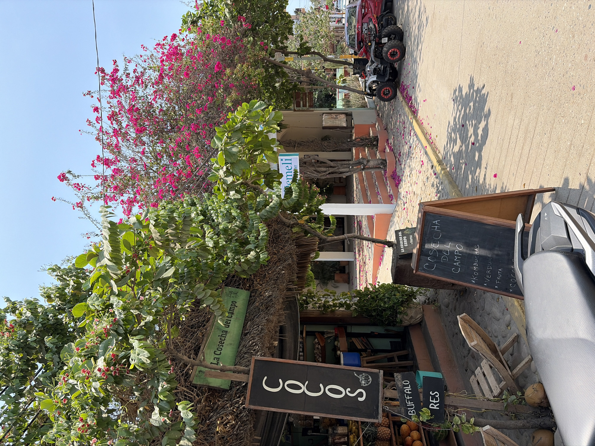 Afternoon stroll documented in Brisas de Zicatela, Mexico