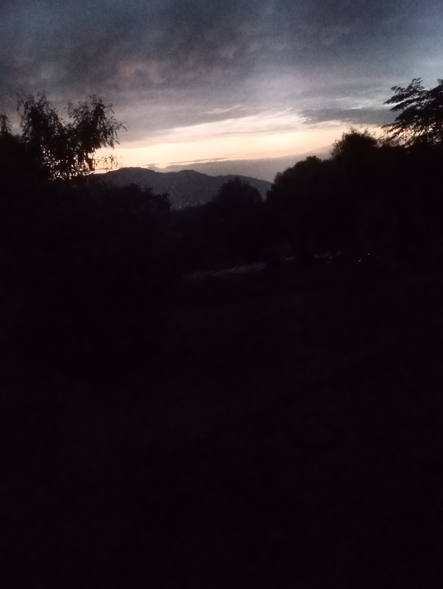 Dim interiors and shadowy landscapes across one afternoon