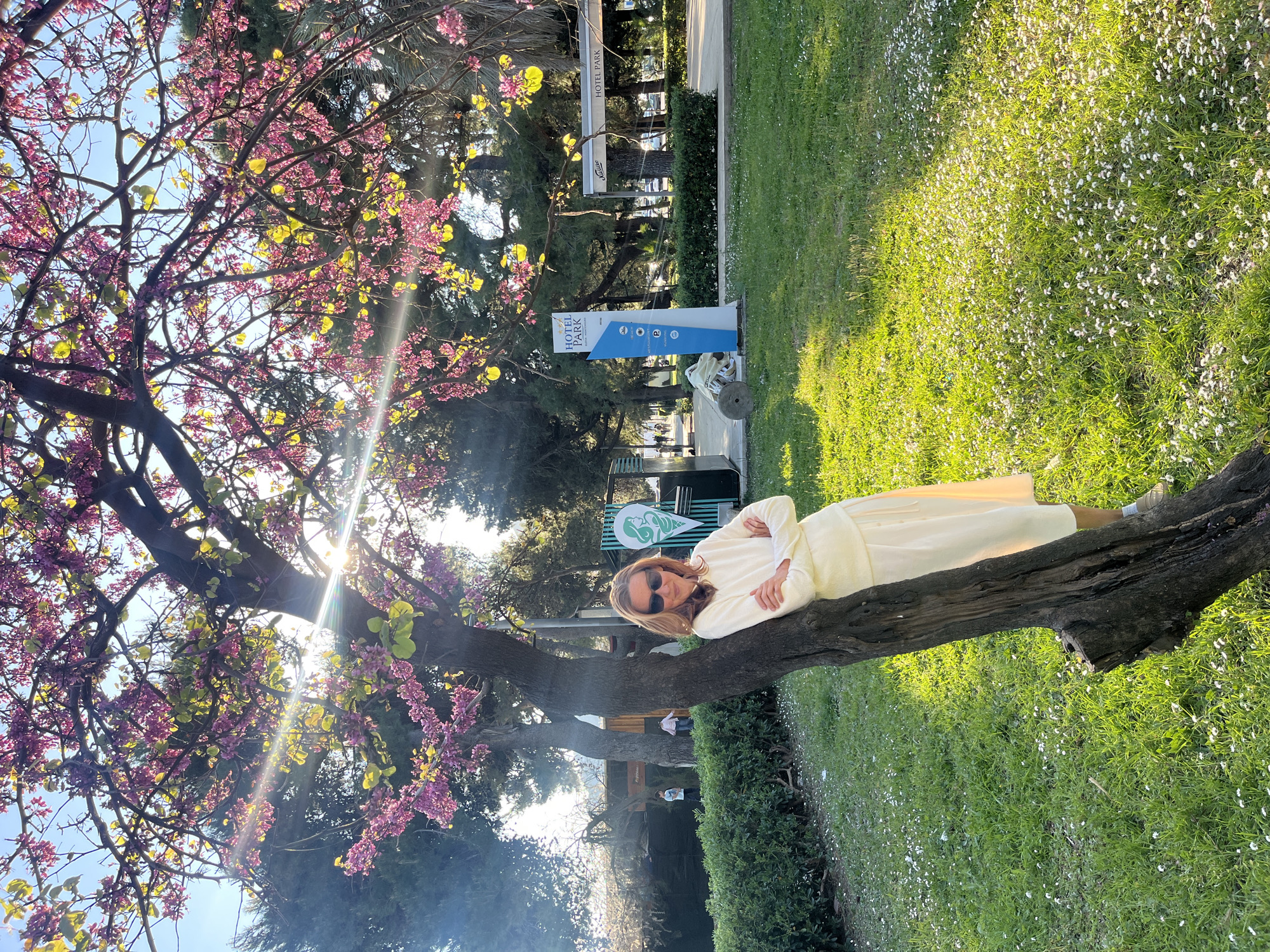 Woman rests on flowering tree branch in Montenegro park