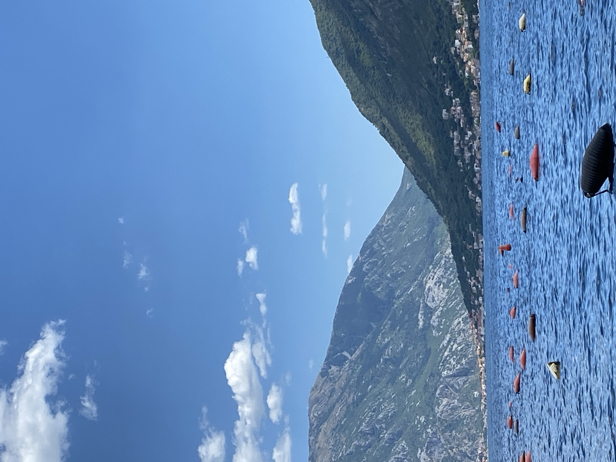 Buoy line on calm Montenegrin bay below a hillside settlement