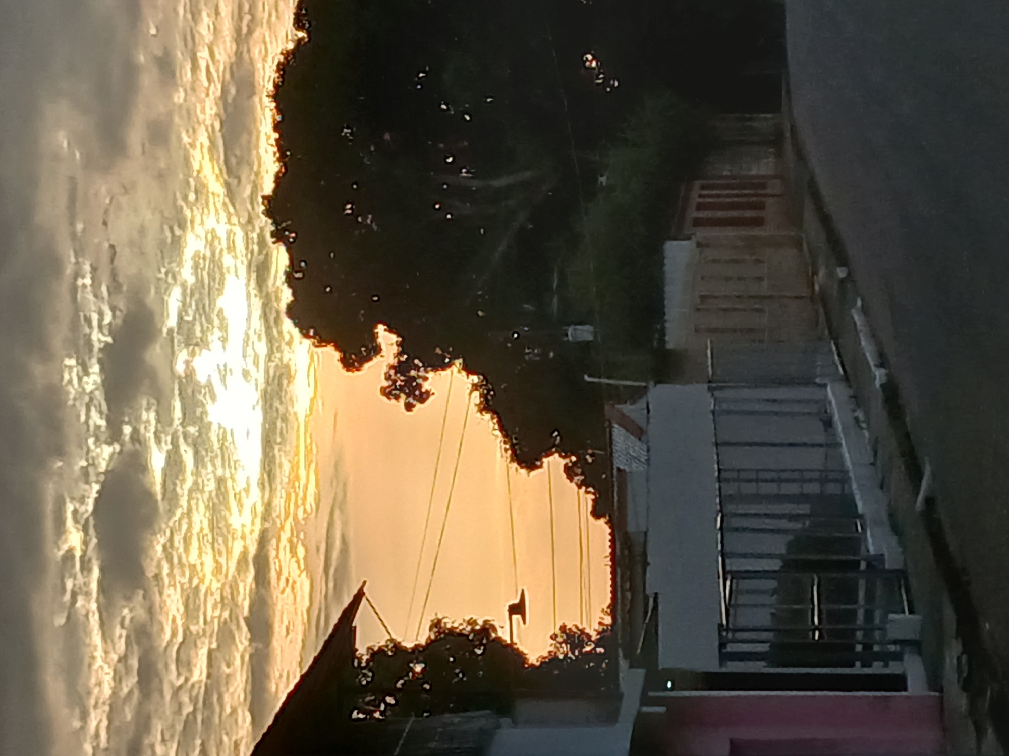 Bird sighting and sunset documented in Tinaco, Venezuela