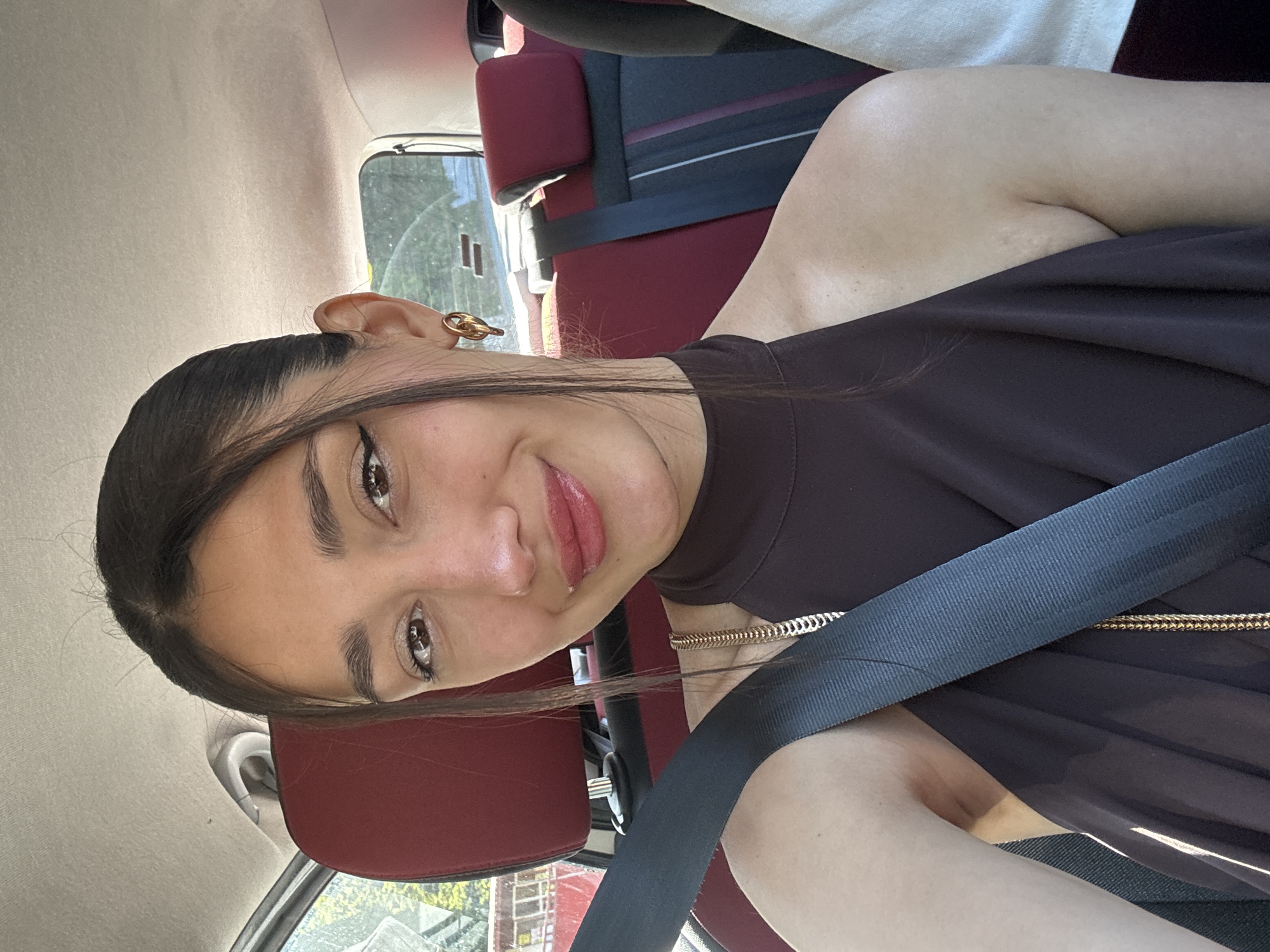 Person spotted in vehicle in Golubovići, Montenegro