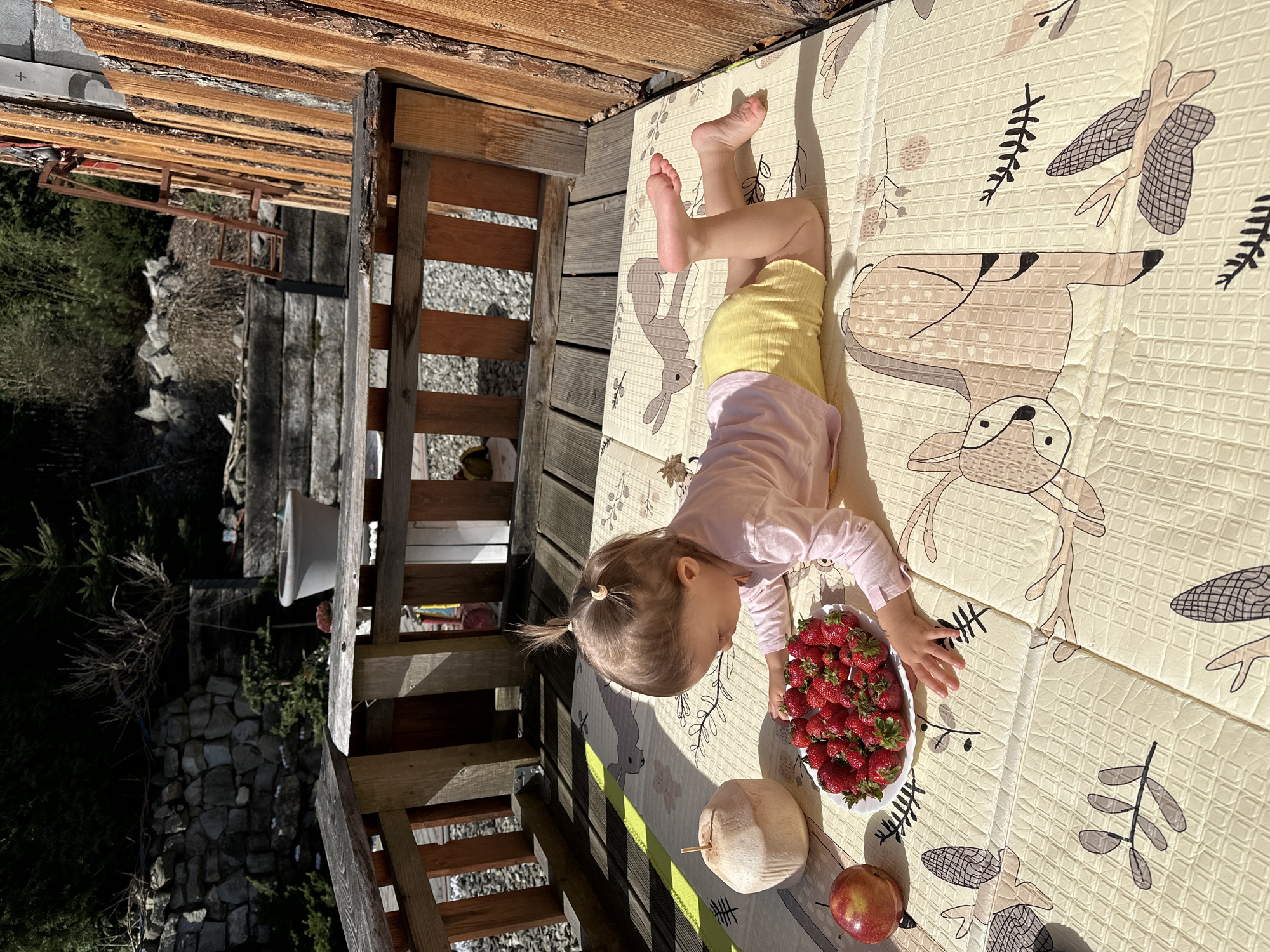 Child enjoys strawberries outdoors on sunny day in Wisła