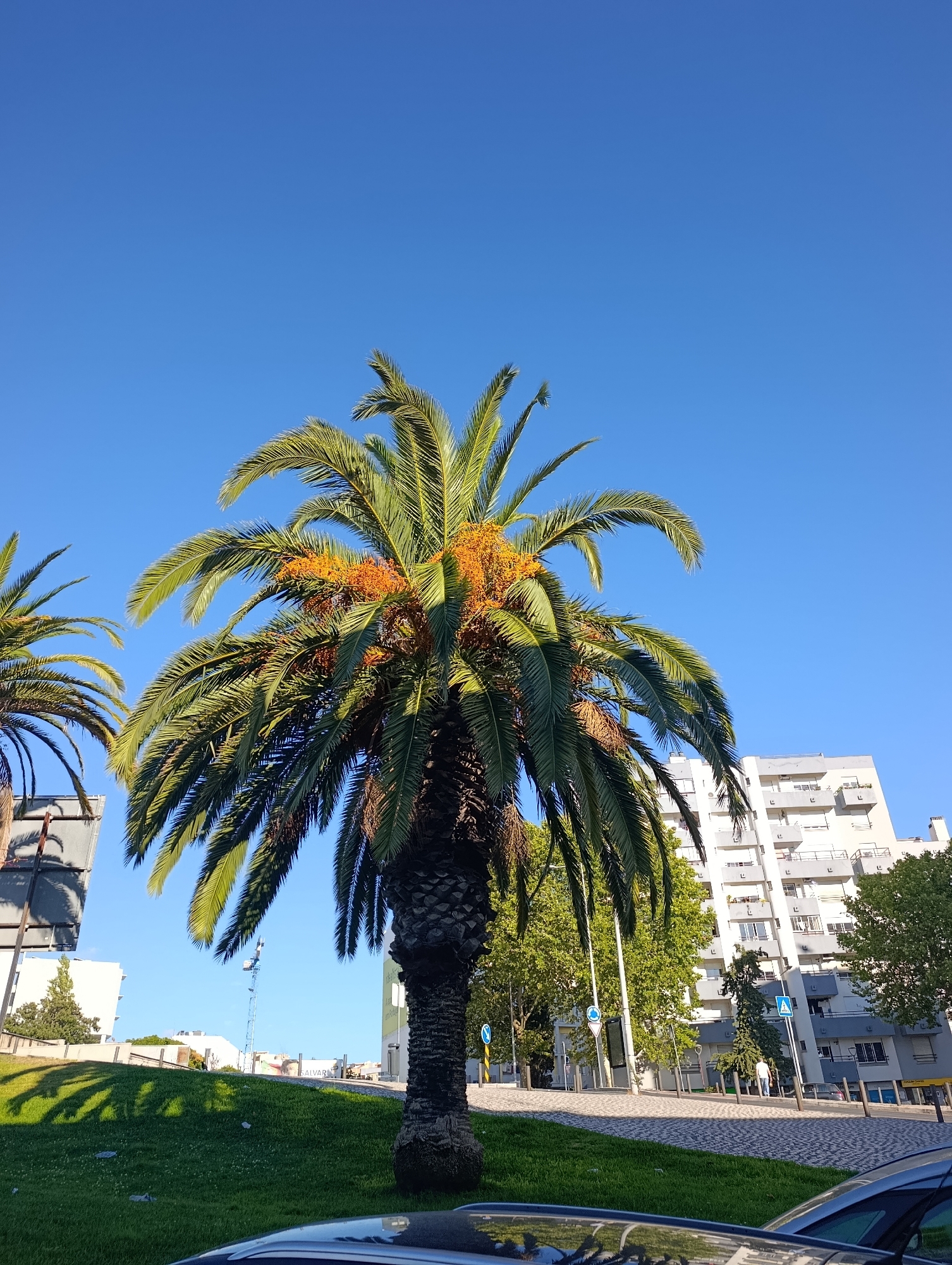 Setúbal, Portugal