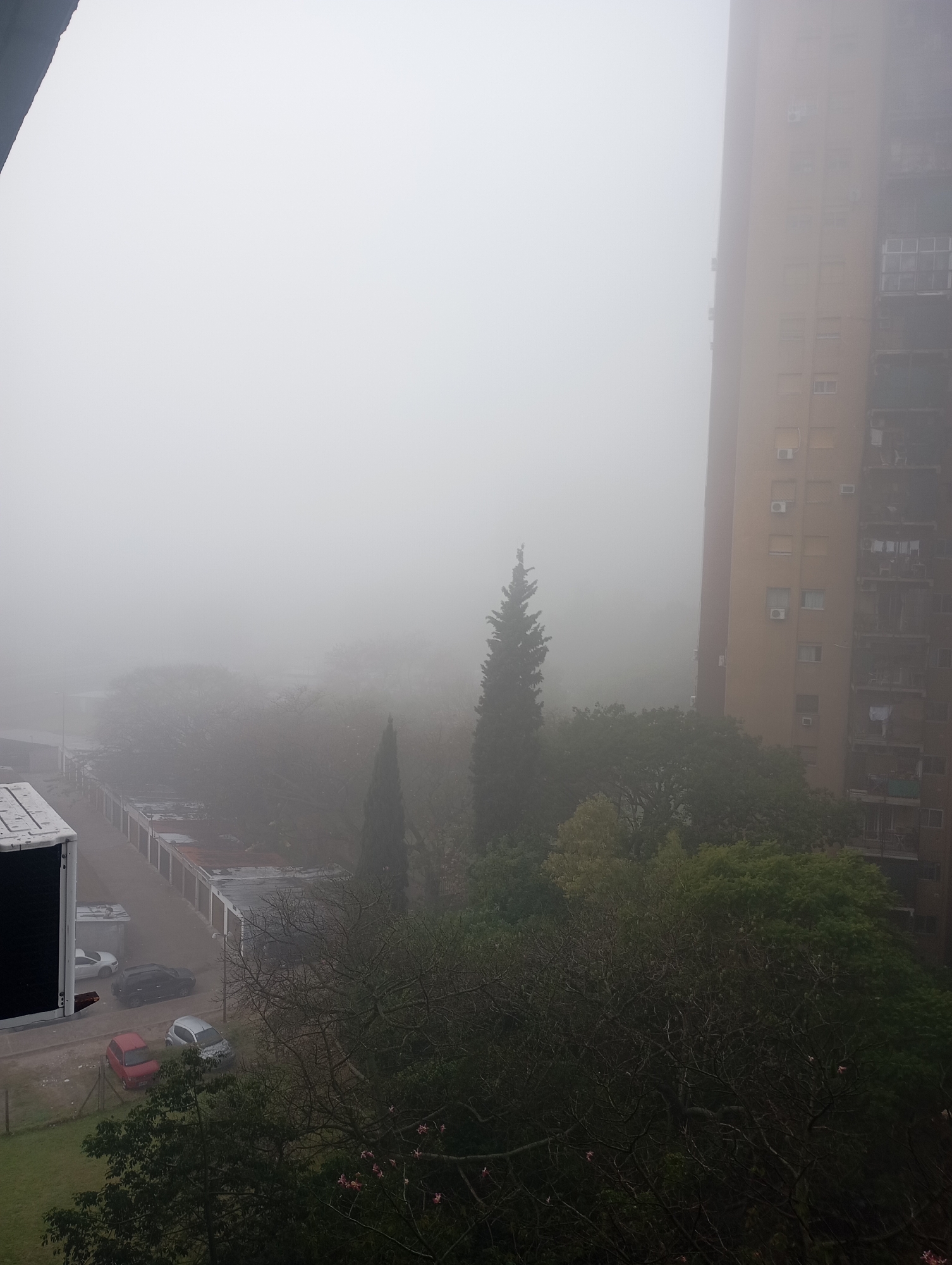 Heavy fog envelops Buenos Aires buildings and parks