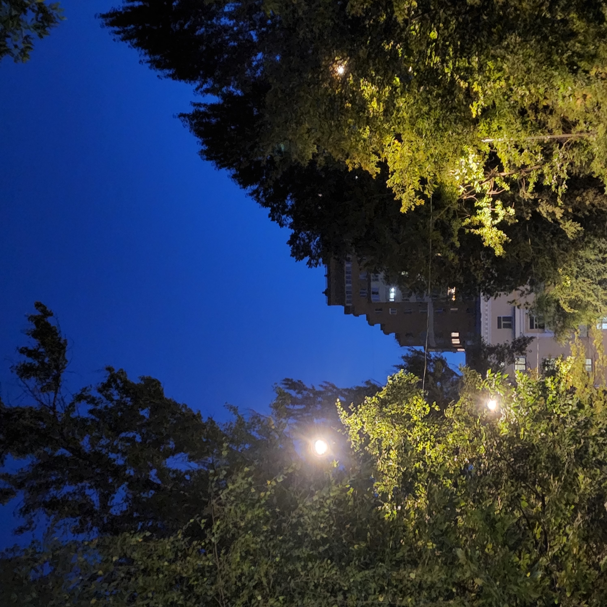 Moscow residential streets and trees at twilight, August evening