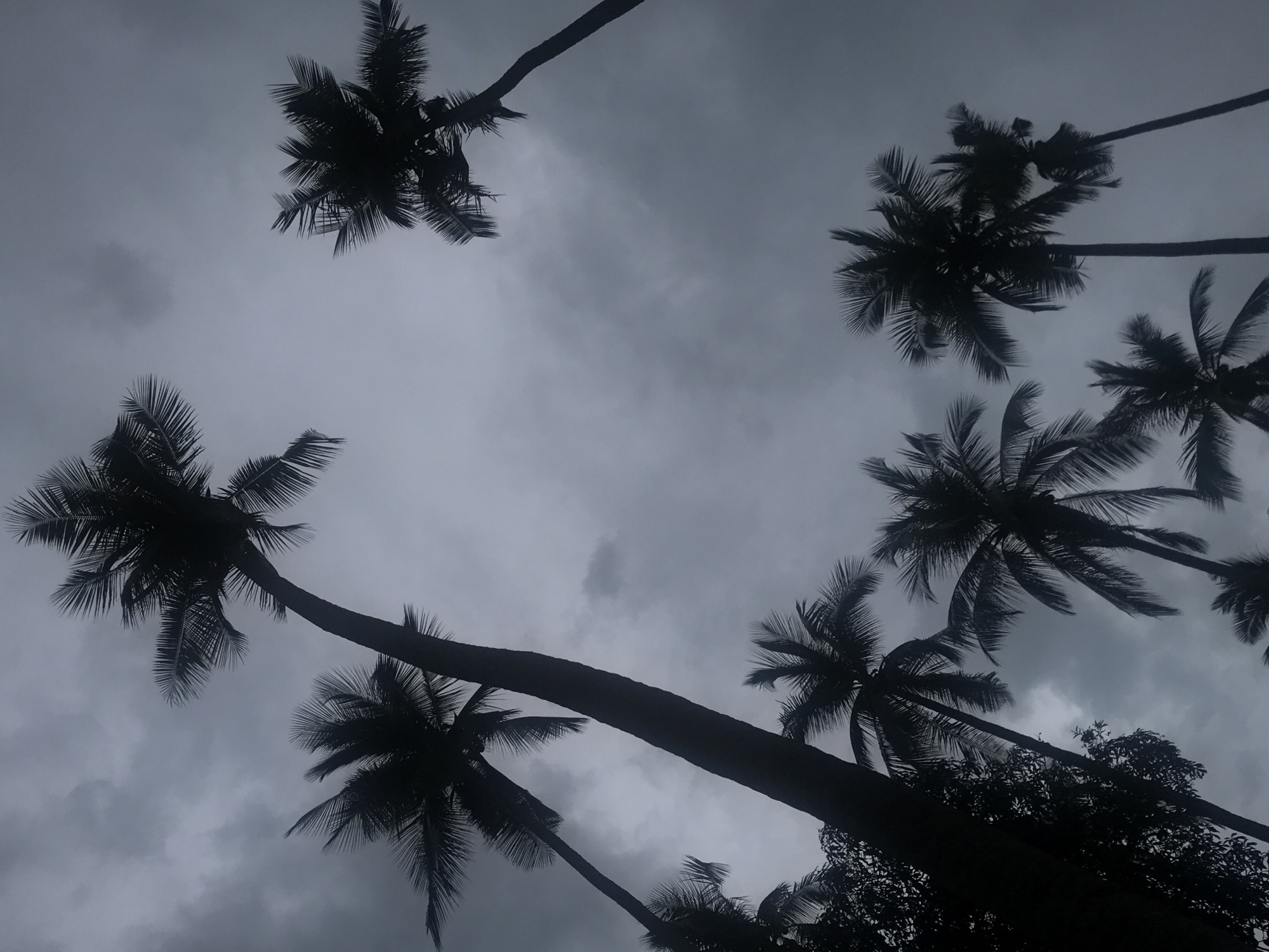 Rural Thailand village landscape documented during overcast morning