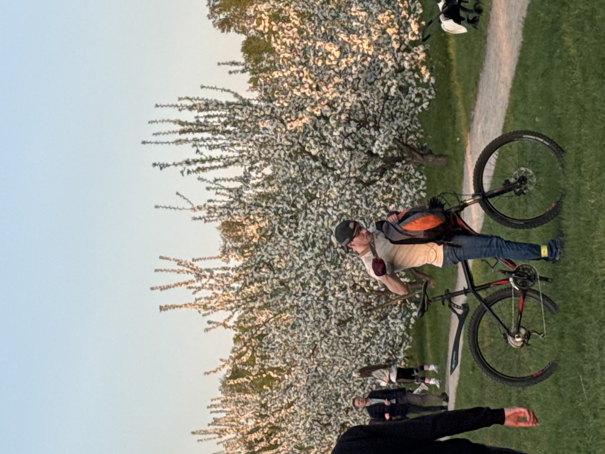 Spring park activity observed in Krasnoyarsk amid blooming trees