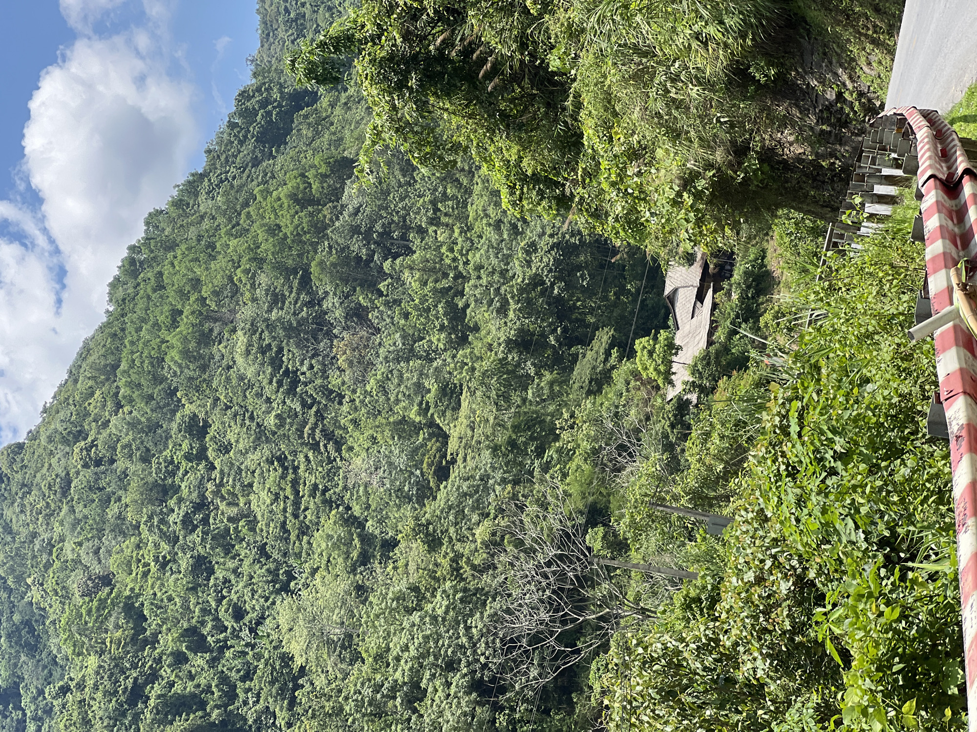 Winding mountain road through lush Minh Tân Commune, Vietnam