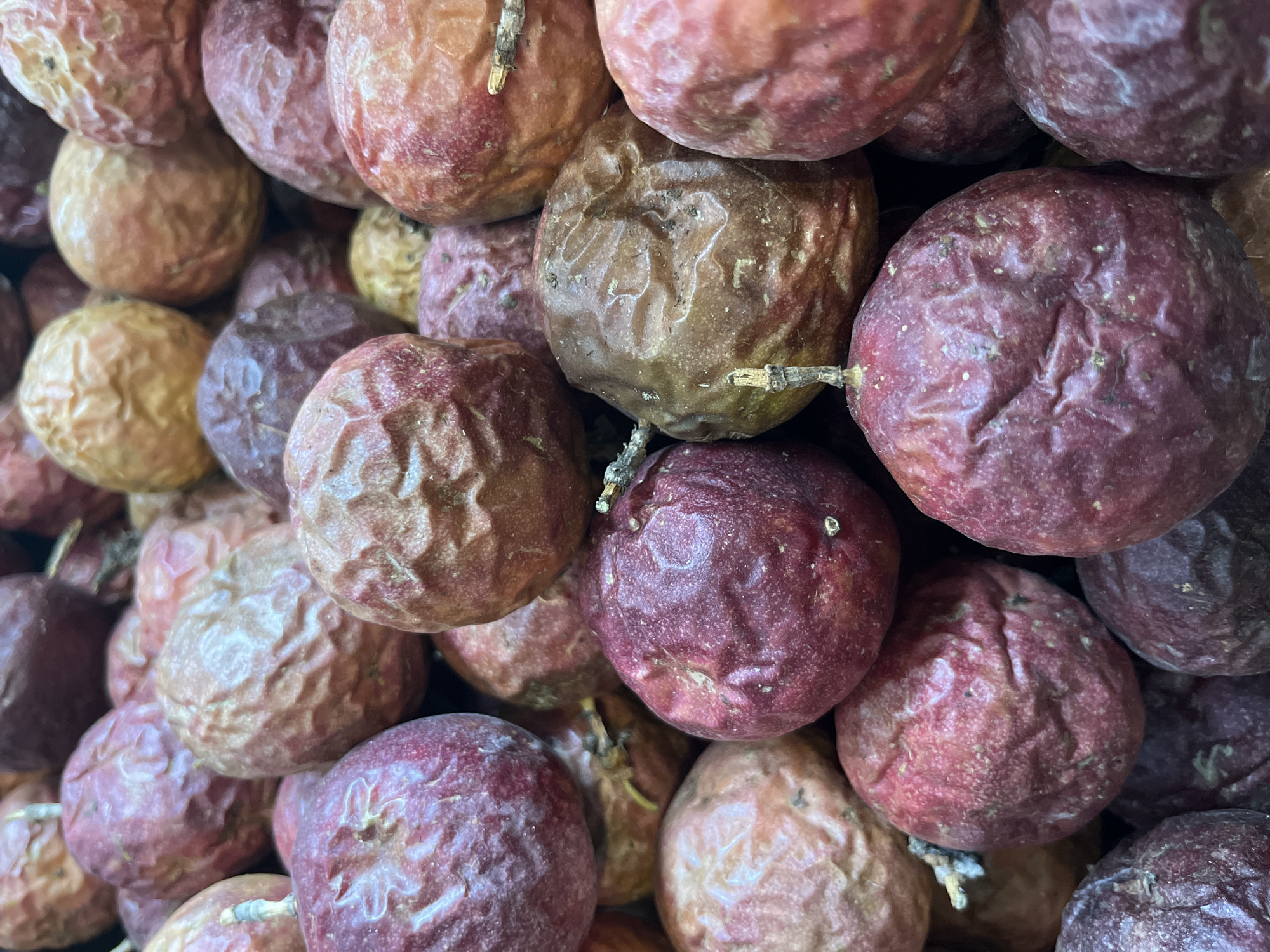 Tropical fruit market displays documented across unknown location