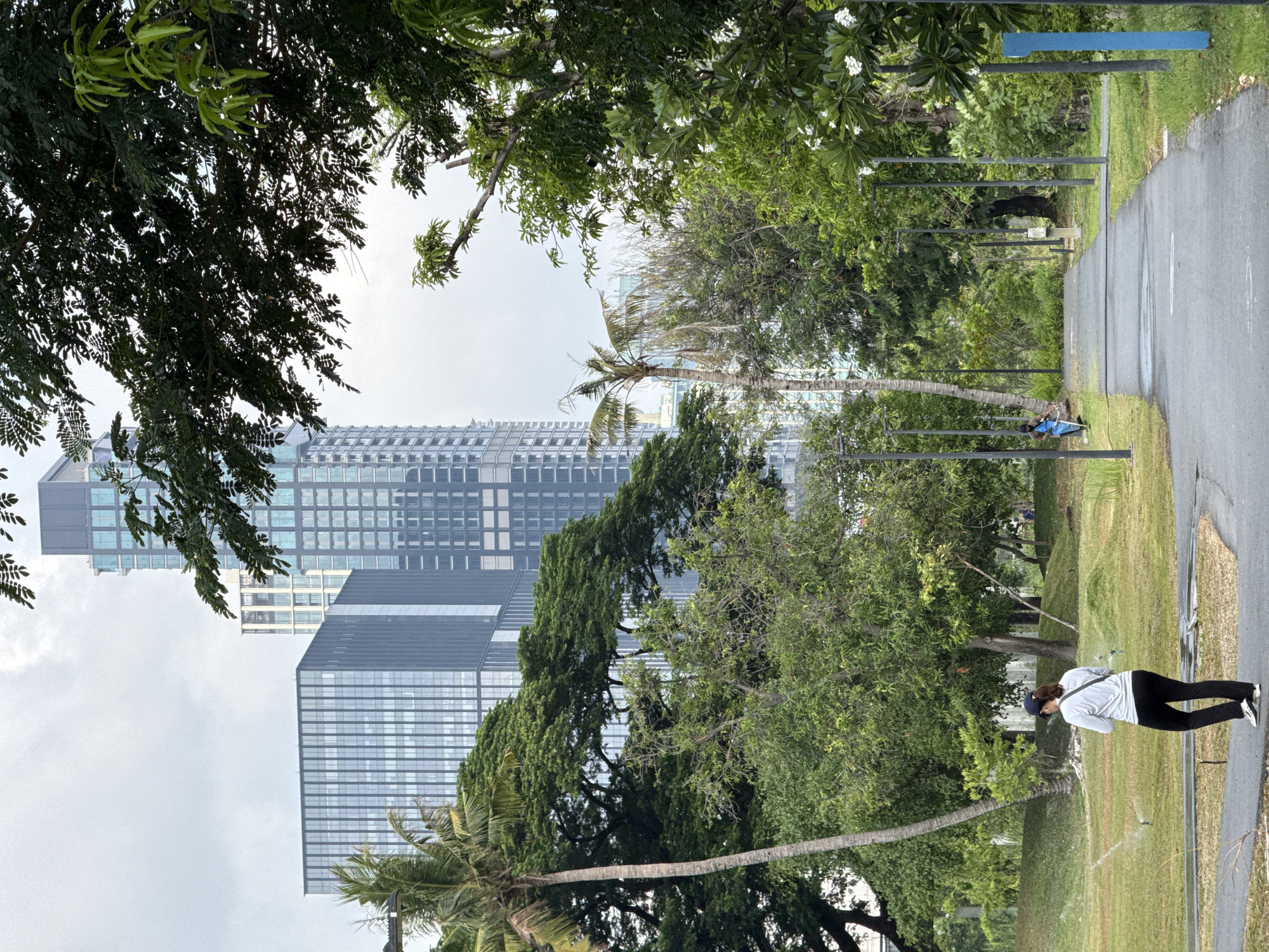 Bangkok park scene shows greenery with high-rise backdrop