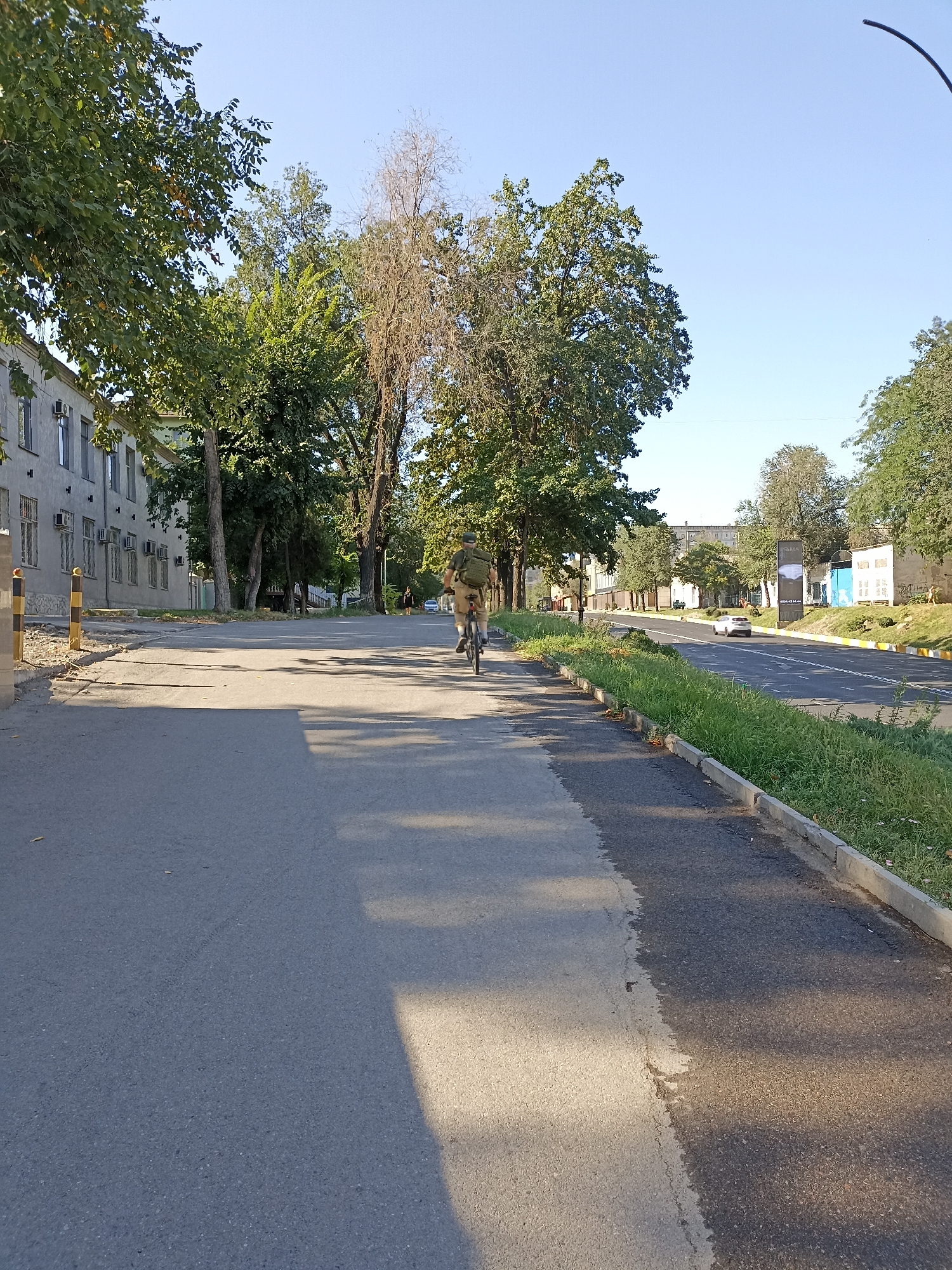 Everyday street life along a Bishkek pathway