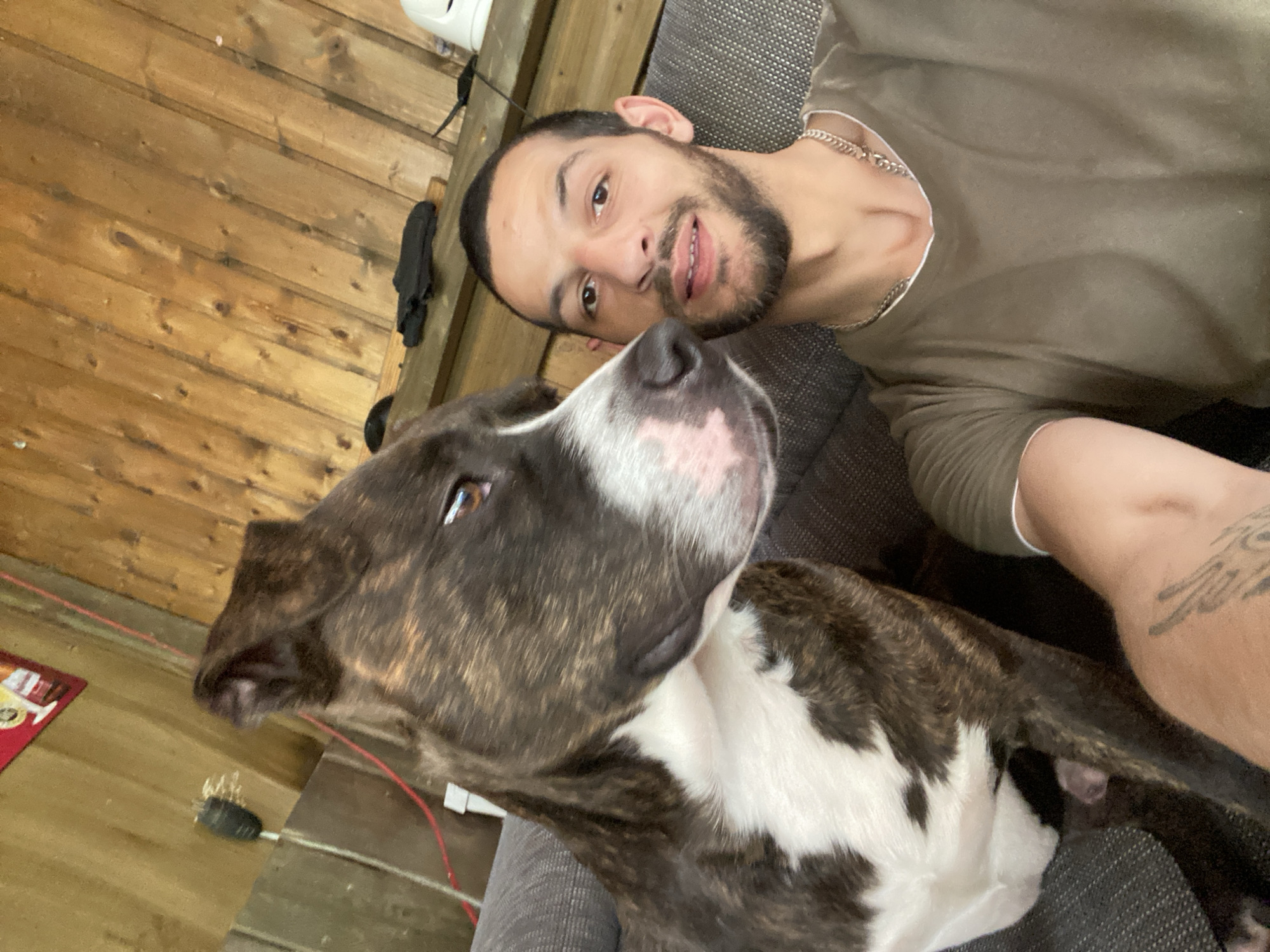 Man and pit bull dog spotted in casual settings around Hanover