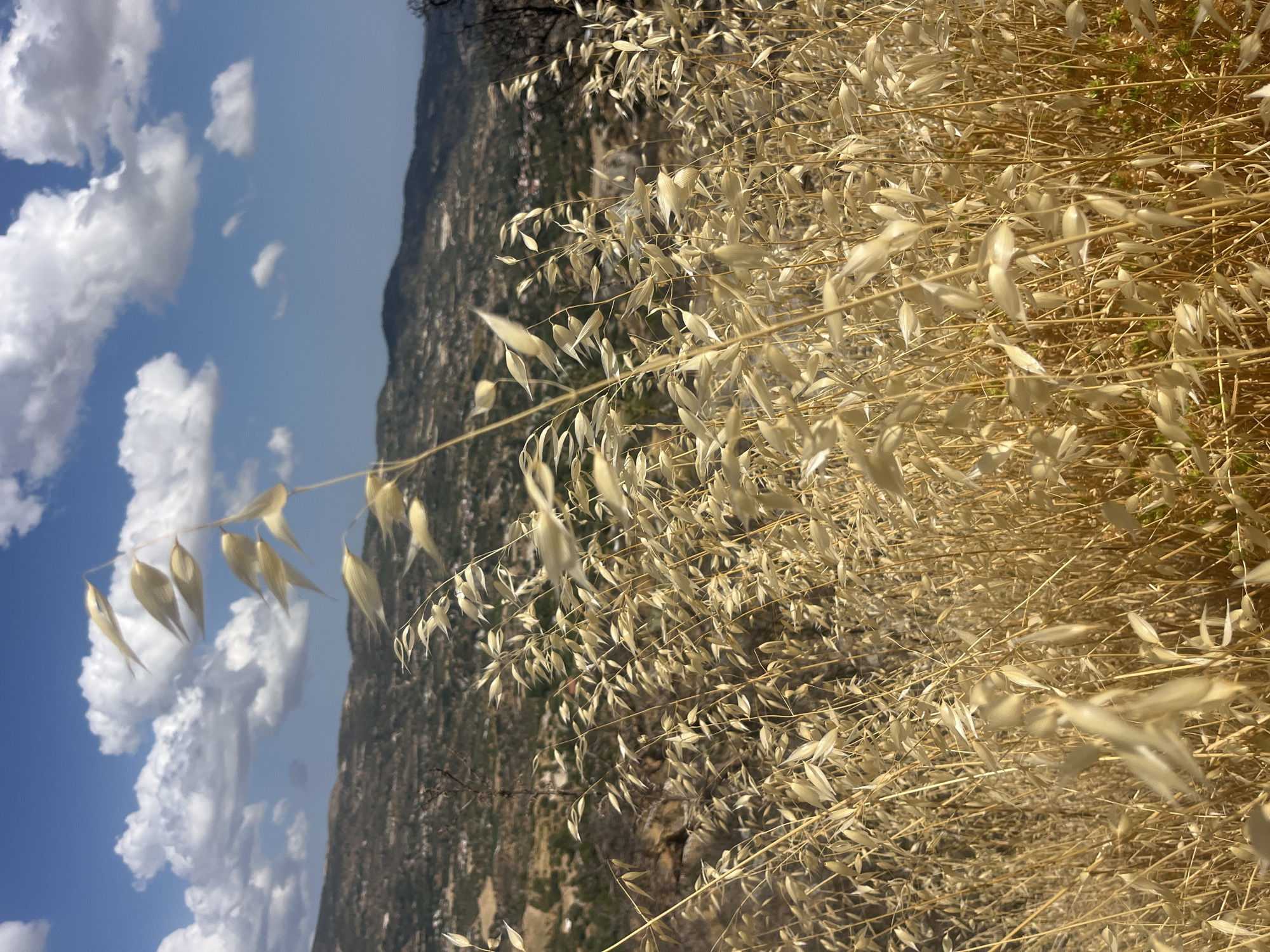 Silikou, Cyprus