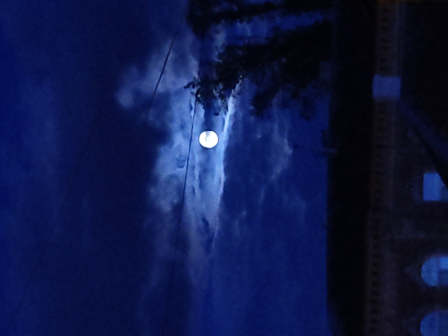 Evening observations capture moon, building, cat, and birds