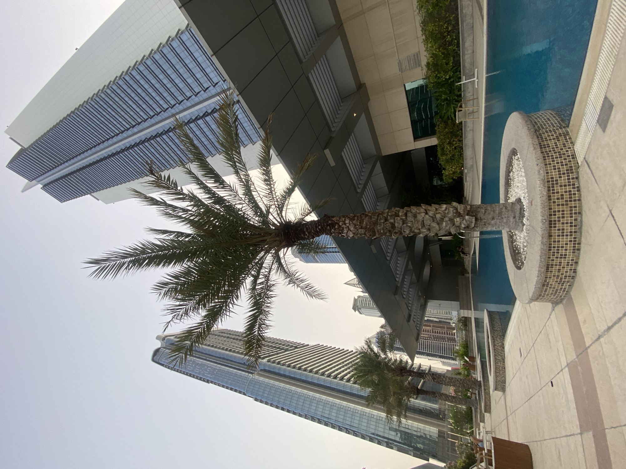 Dubai skyline captured from poolside vantage point