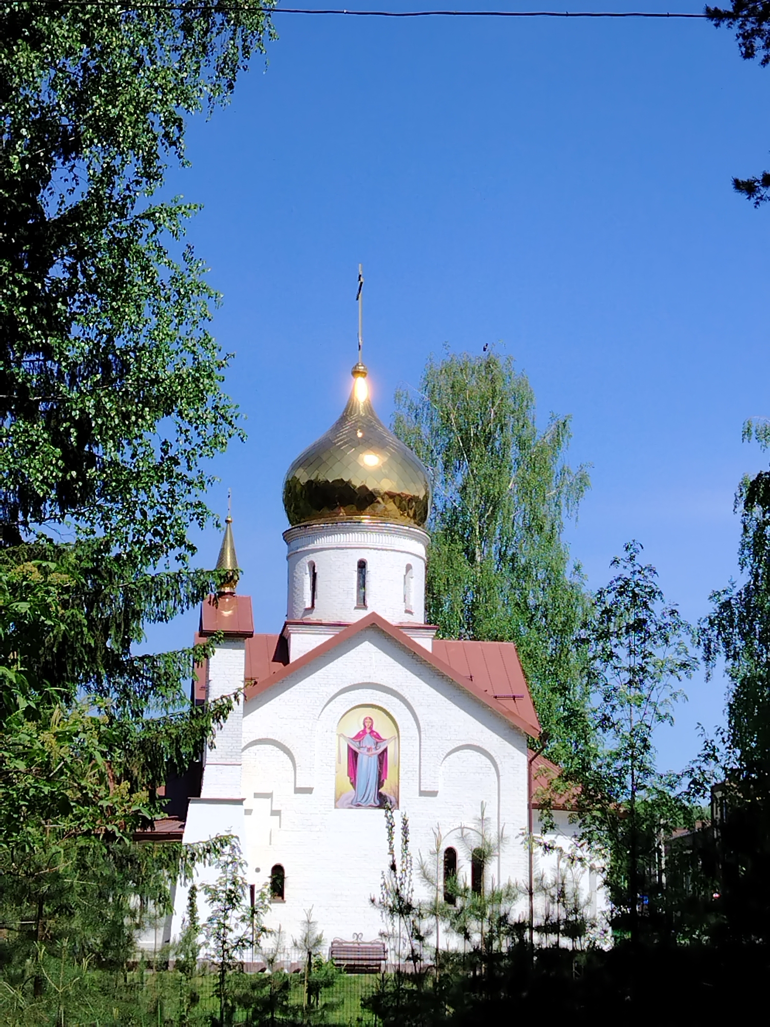 Spring morning documented in Noviy, Russia with flowers and family