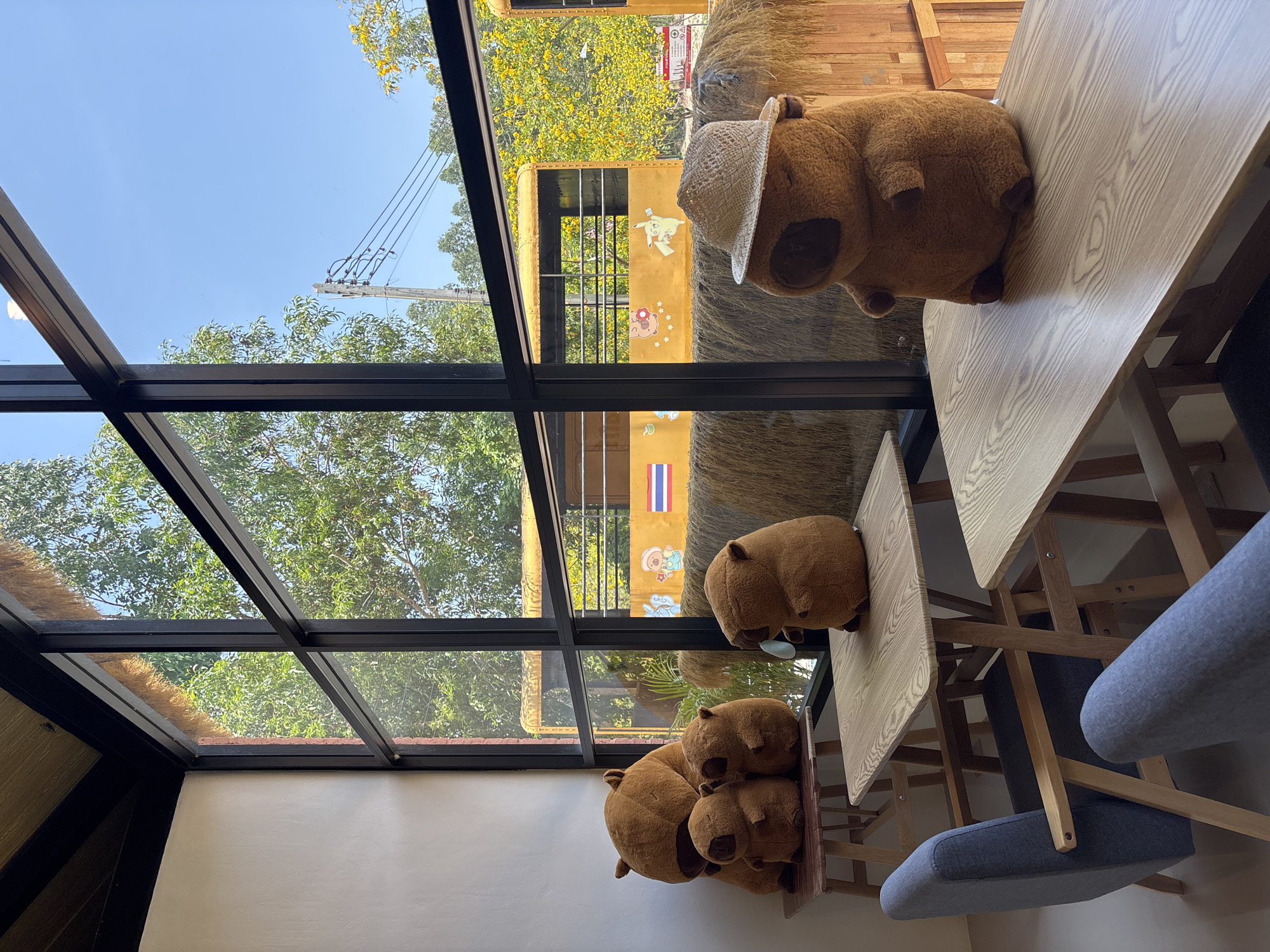 Capybaras spotted at facility in Choeng Thale, Thailand