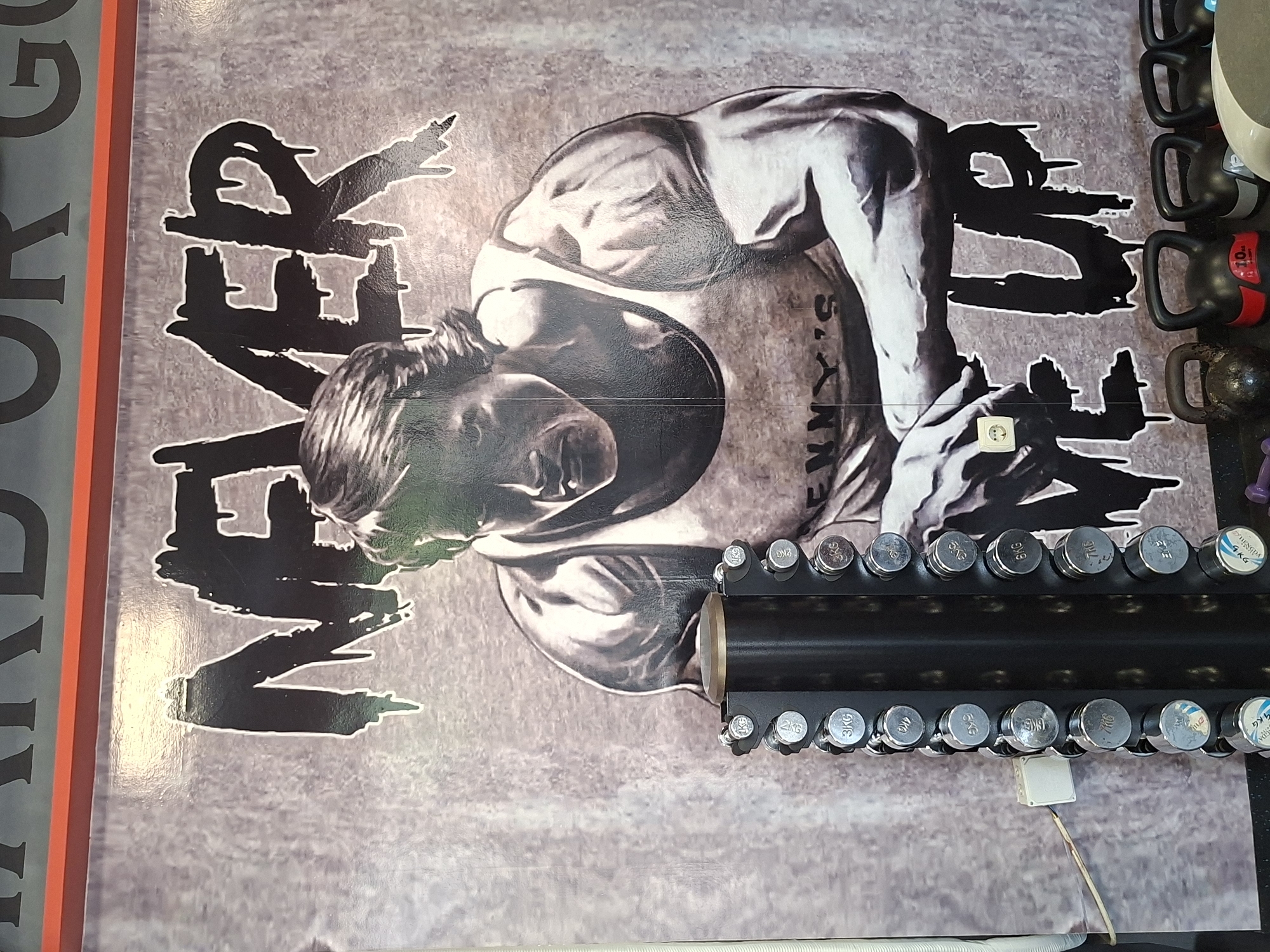 Gym visitor documents selfies at Schwarzenegger-themed fitness facility