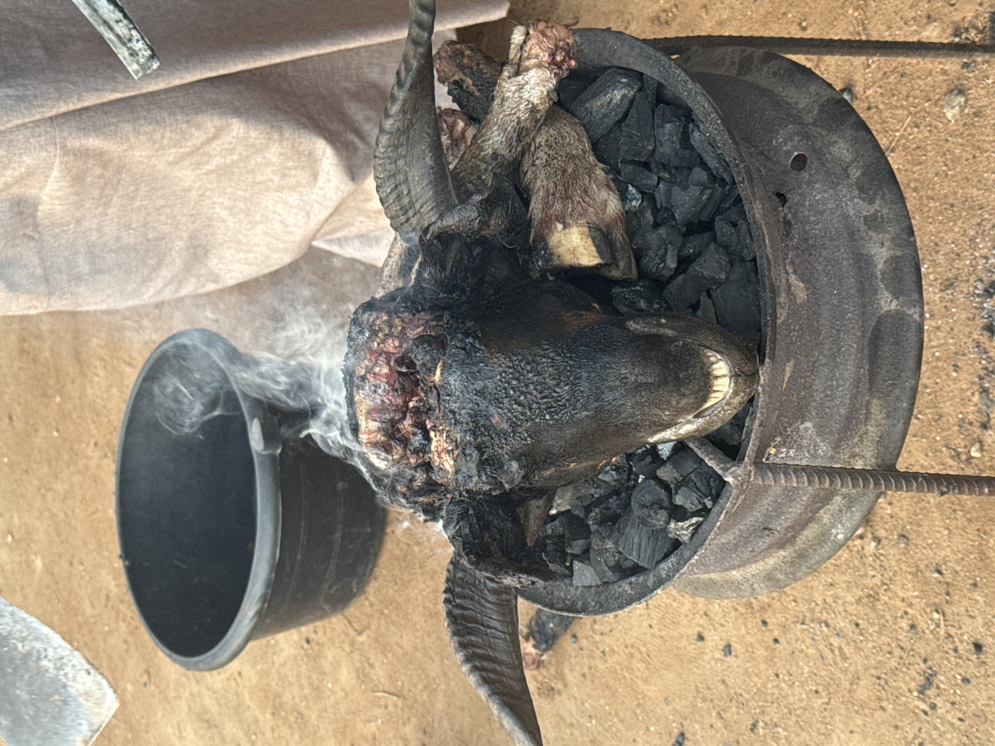 Traditional goat head preparation documented in Yelwa, Nigeria