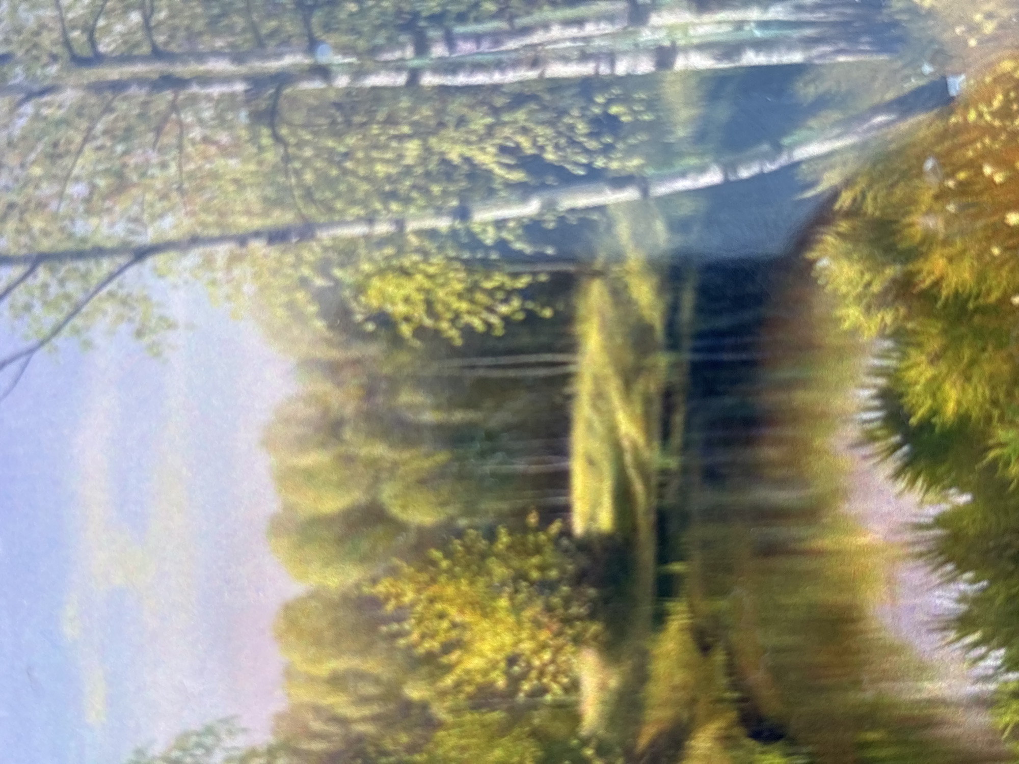 Rural garden landscape with houses and waterscape documented