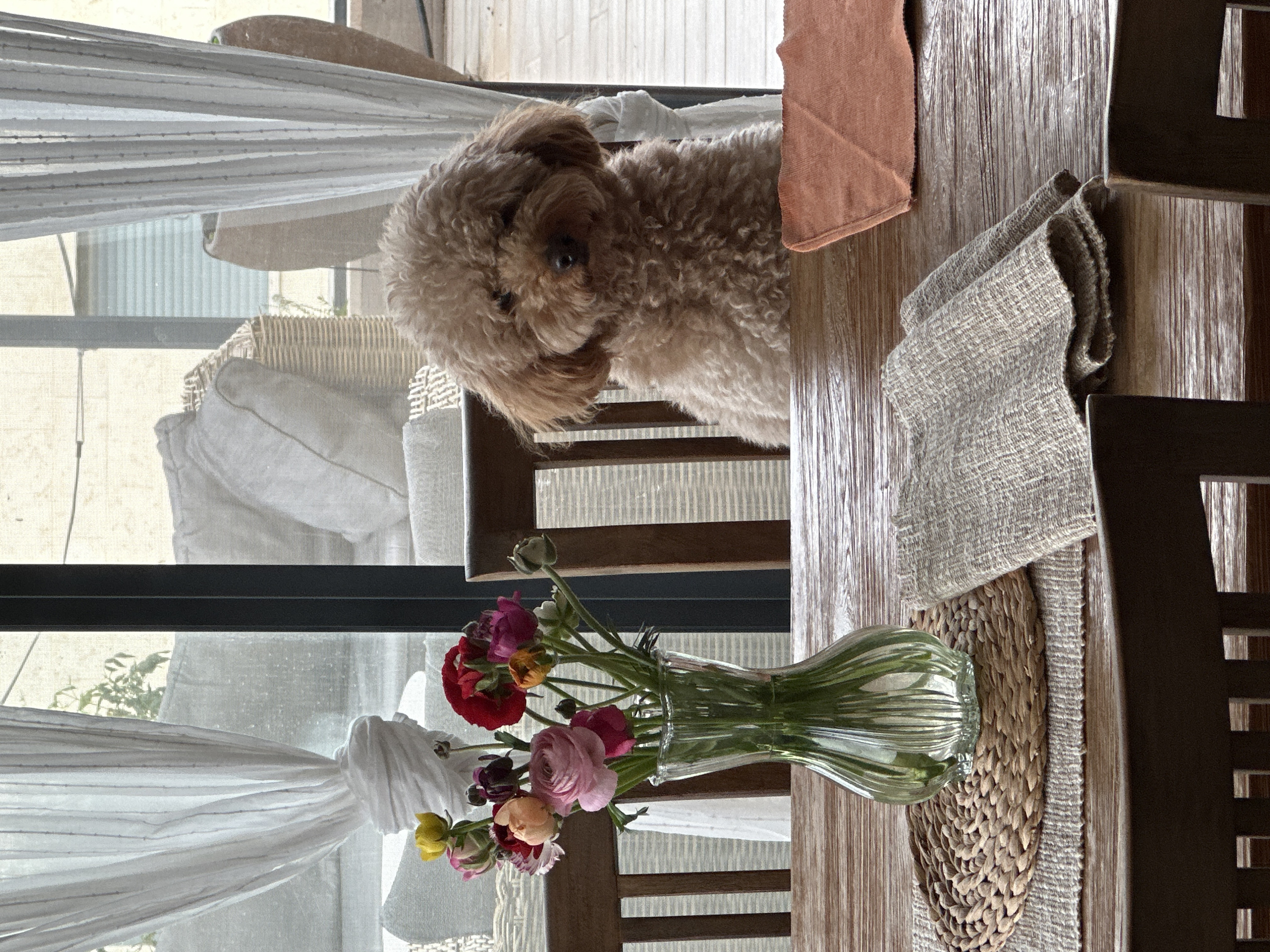 Dining area with wooden table observed in Raanana