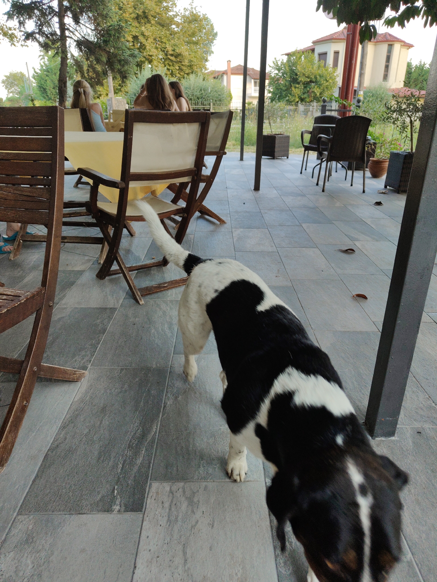 Evening wind-down across northern Greece, coast to mountains