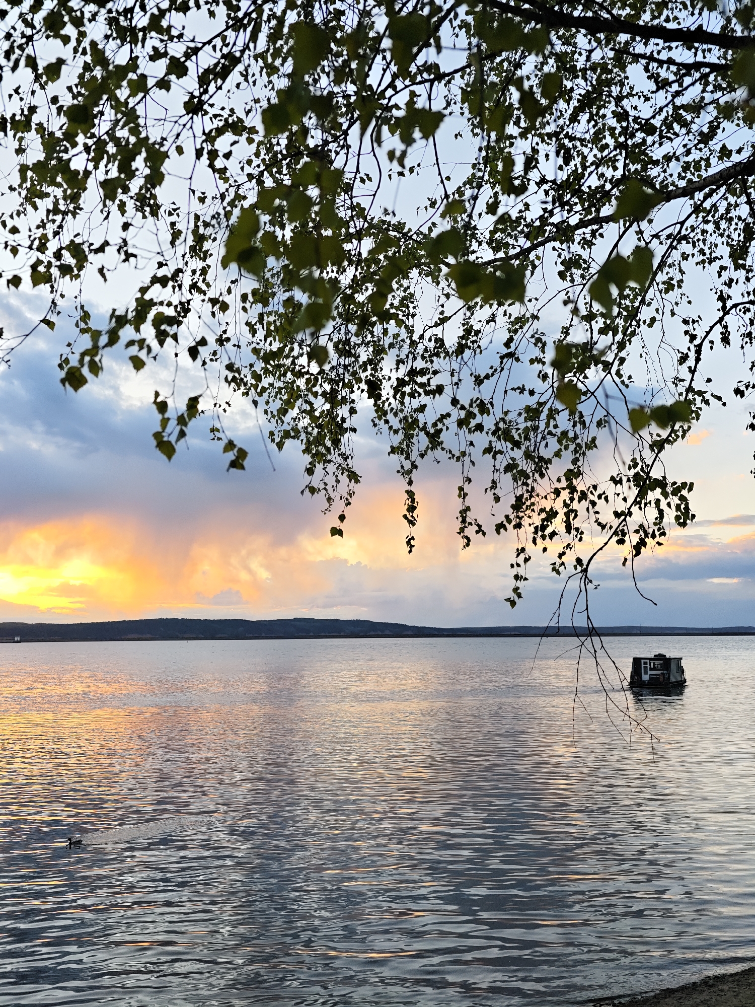 Sunset over Kama River documented by witnesses in Chaikovsky