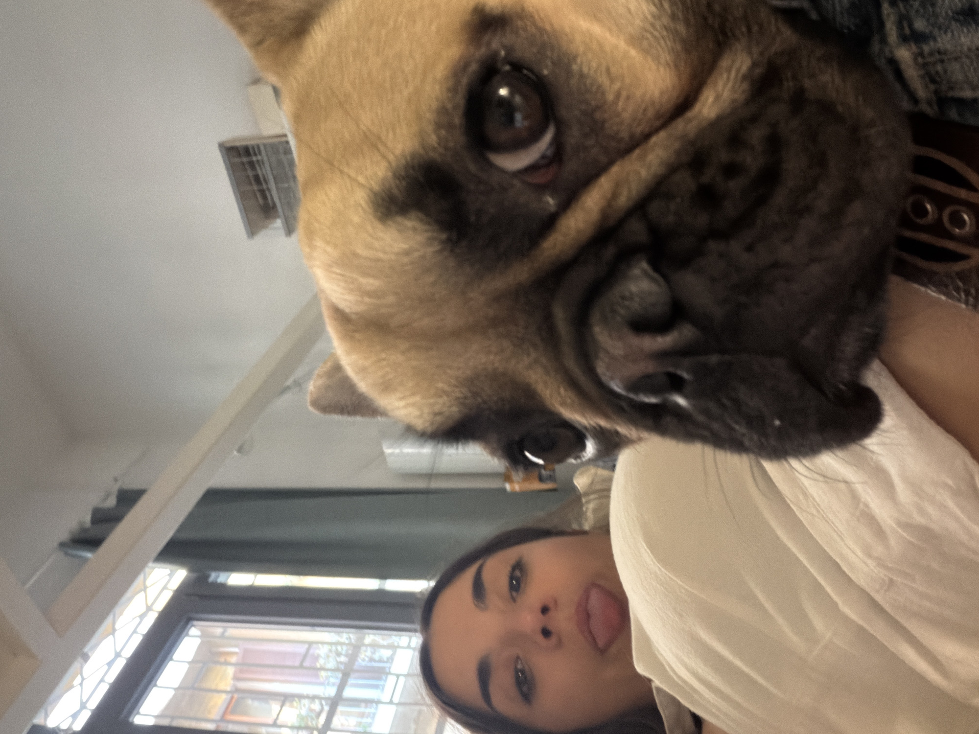 Woman poses playfully with French Bulldog in Milan