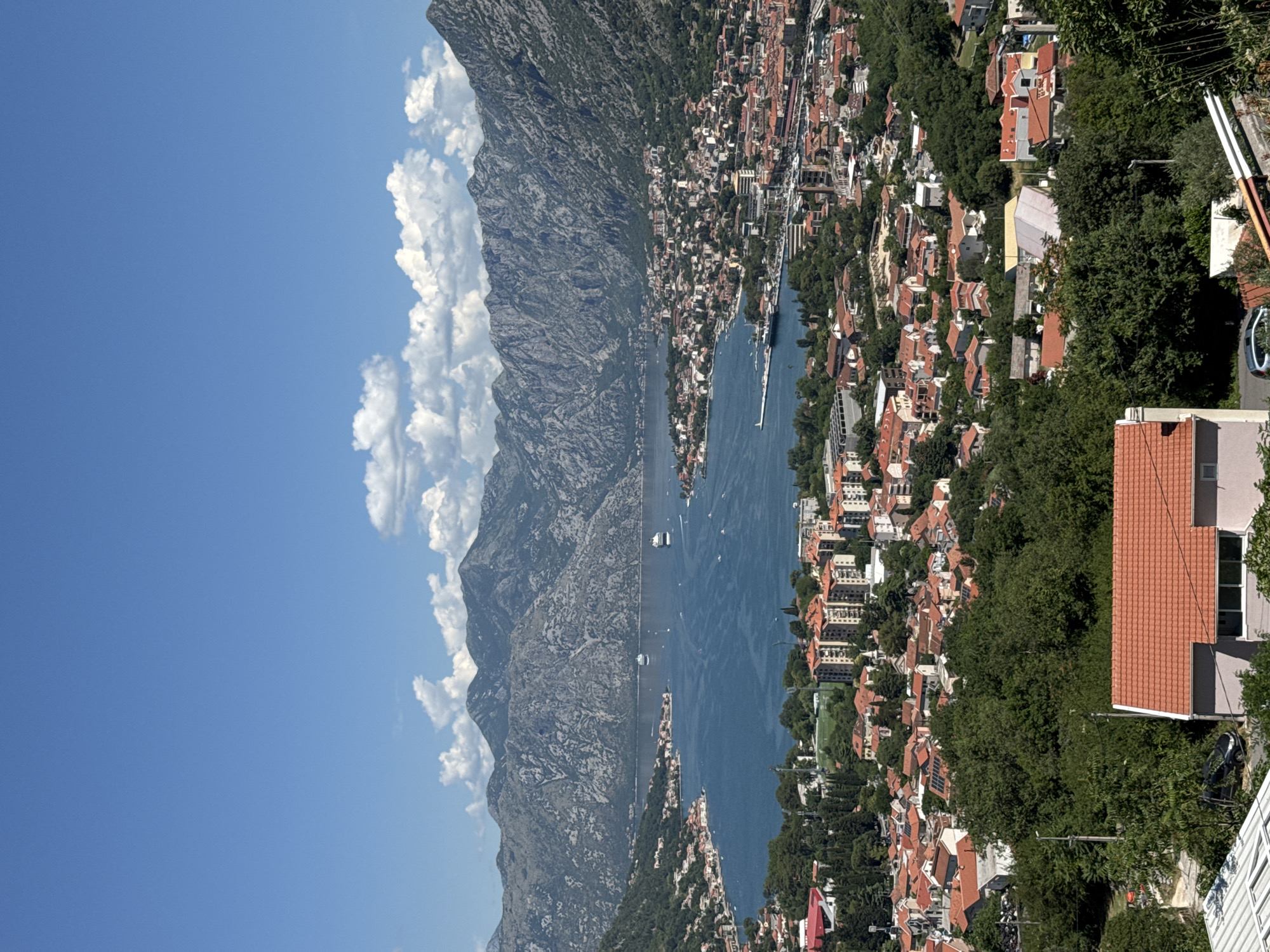 Bay of Kotor views and a very relaxed cat on marble steps