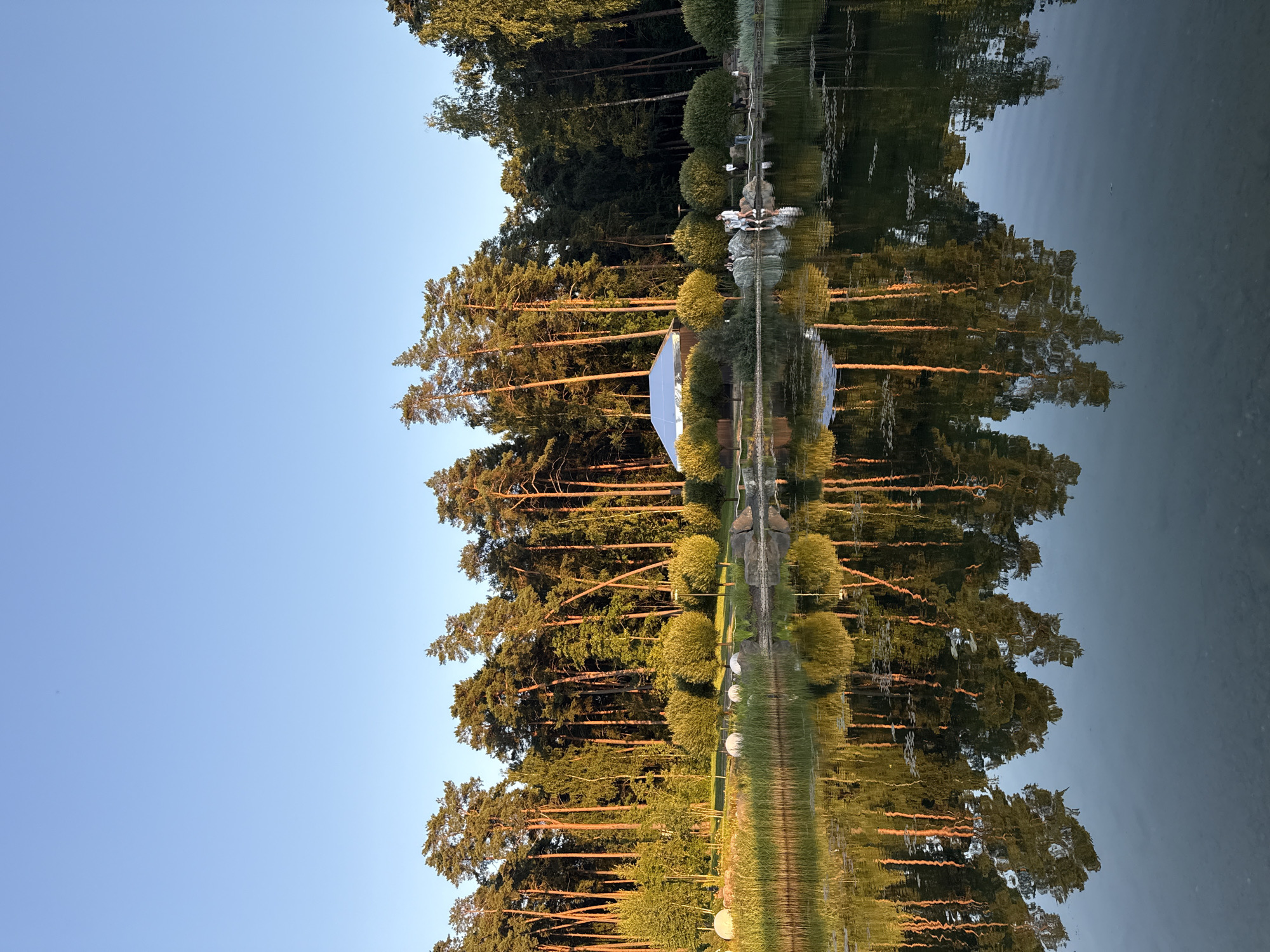 Still lake mirrors pine forest outside Shulgino