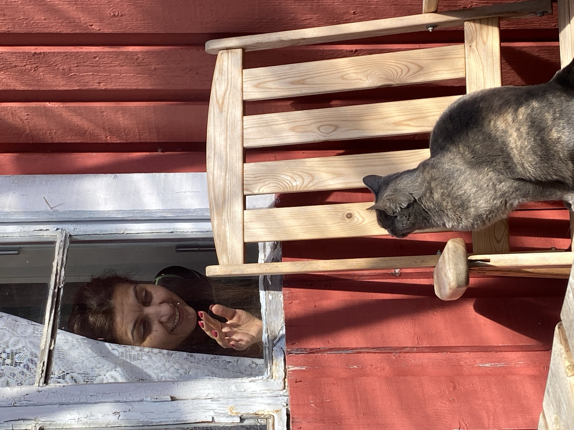 Cat grooming on chair outside Swedish building draws observer