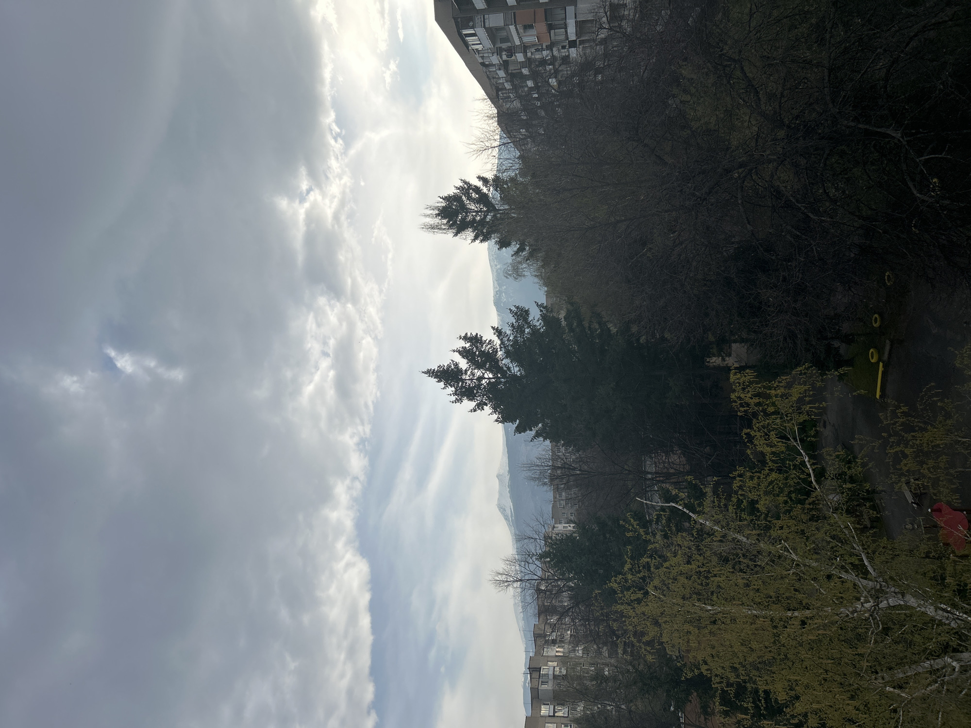 Spring day and medical treatment documented in Sofia
