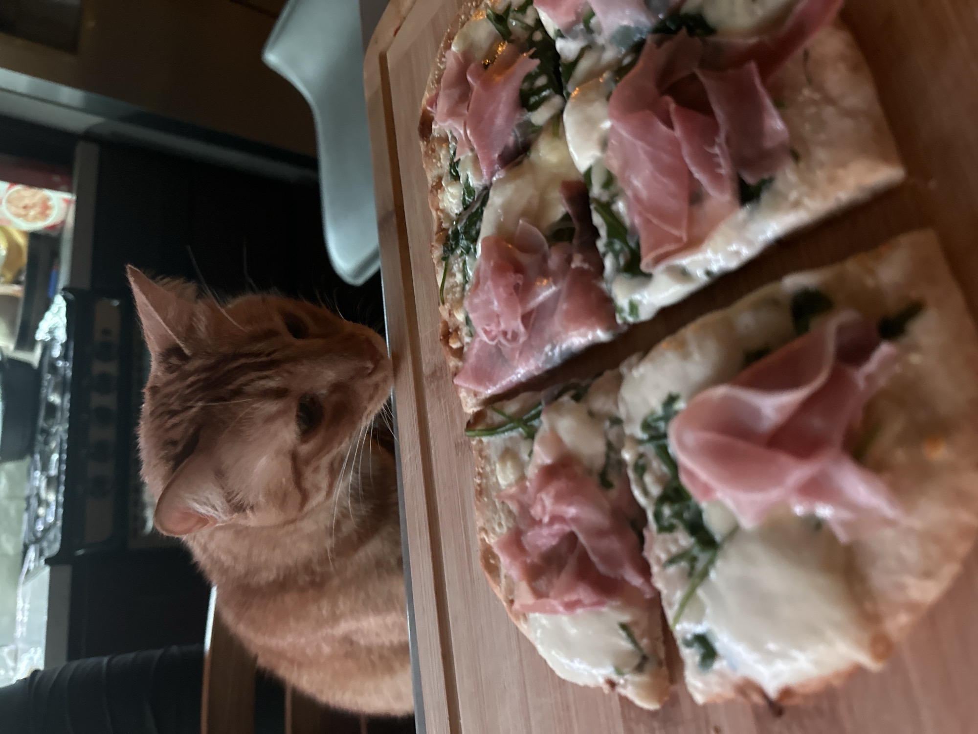 Ginger cat observed in domestic moments over 16-minute span