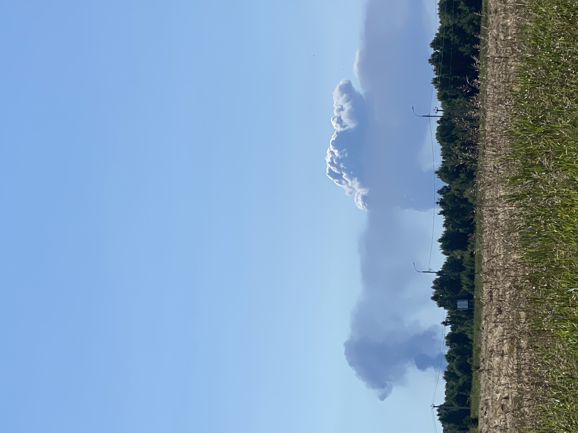 Smoke rises over tree line beyond a calm reed-lined lake
