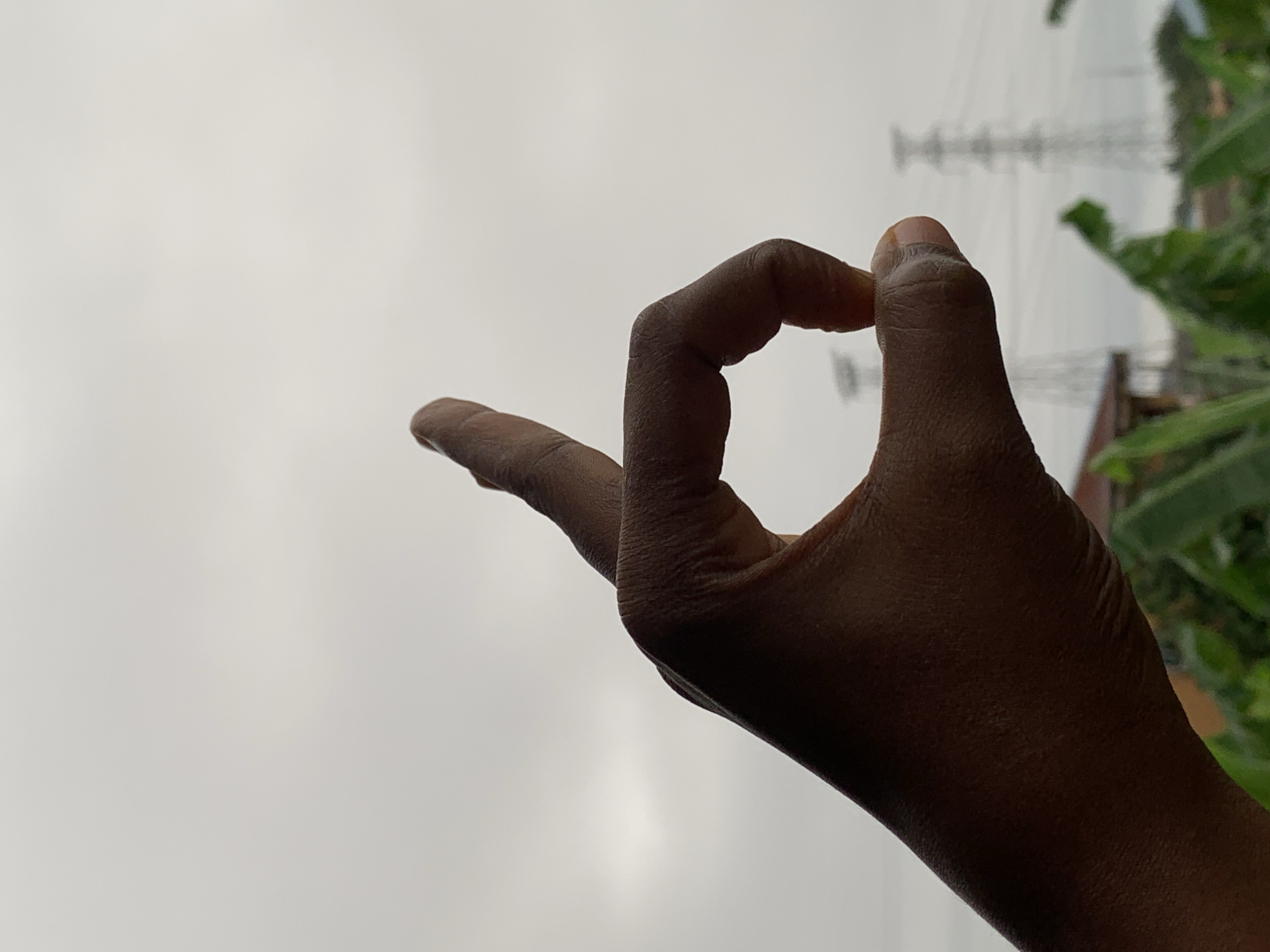 Rooftop hand gestures and birds under overcast Ikorodu skies