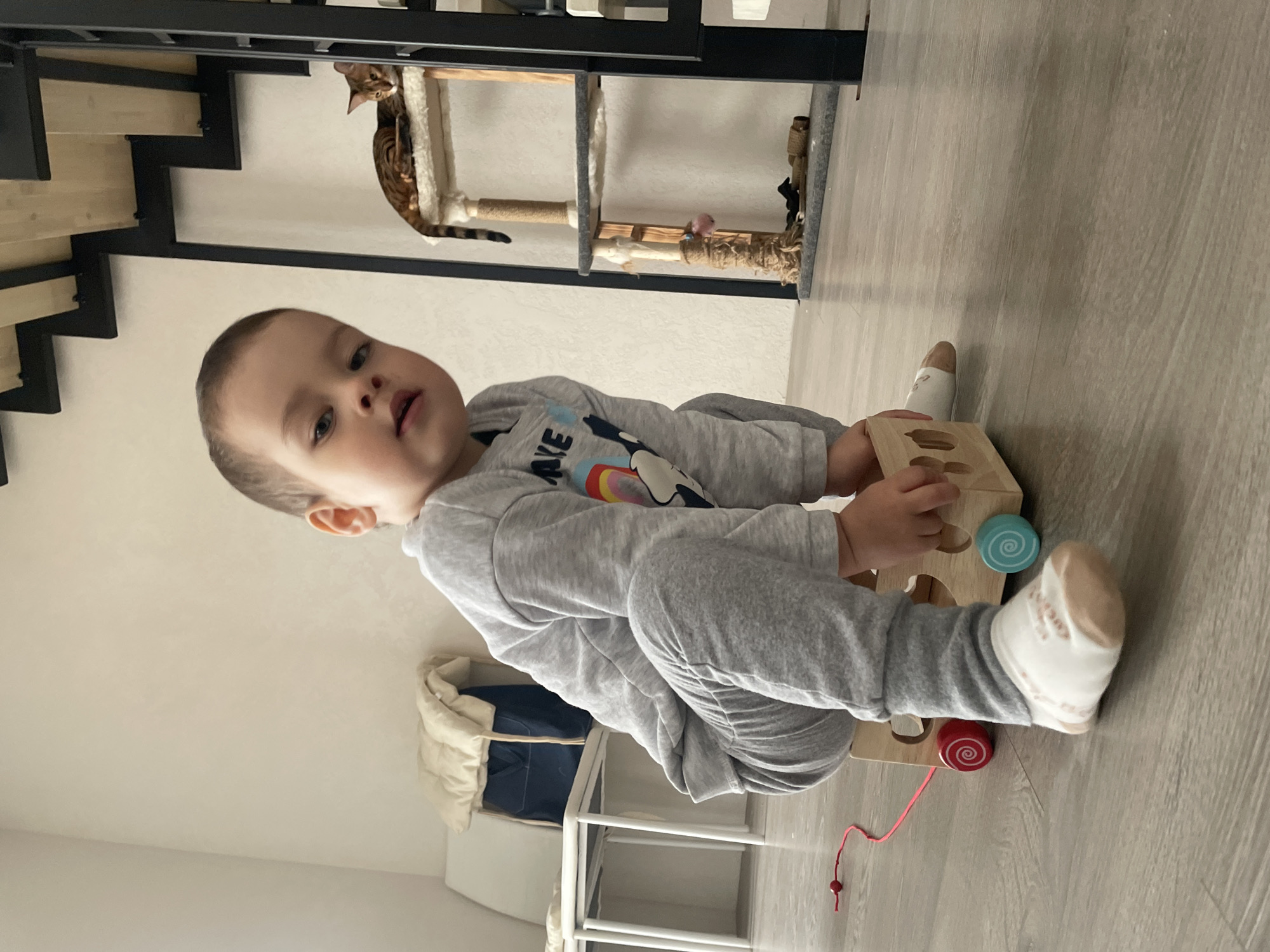 Toddler's early morning playtime documented in foggy Izhevsk