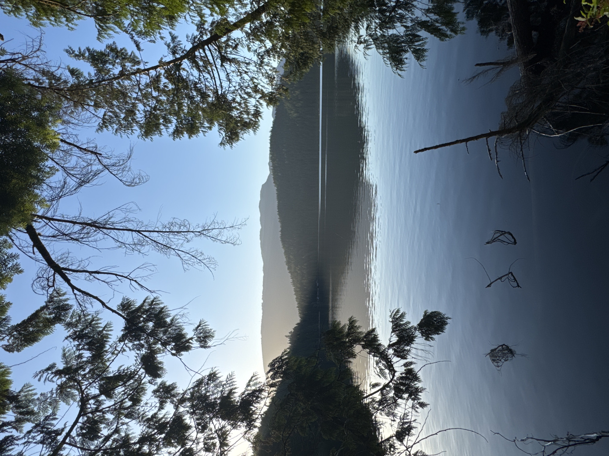 Golden hour calm at a Port Moody waterfront