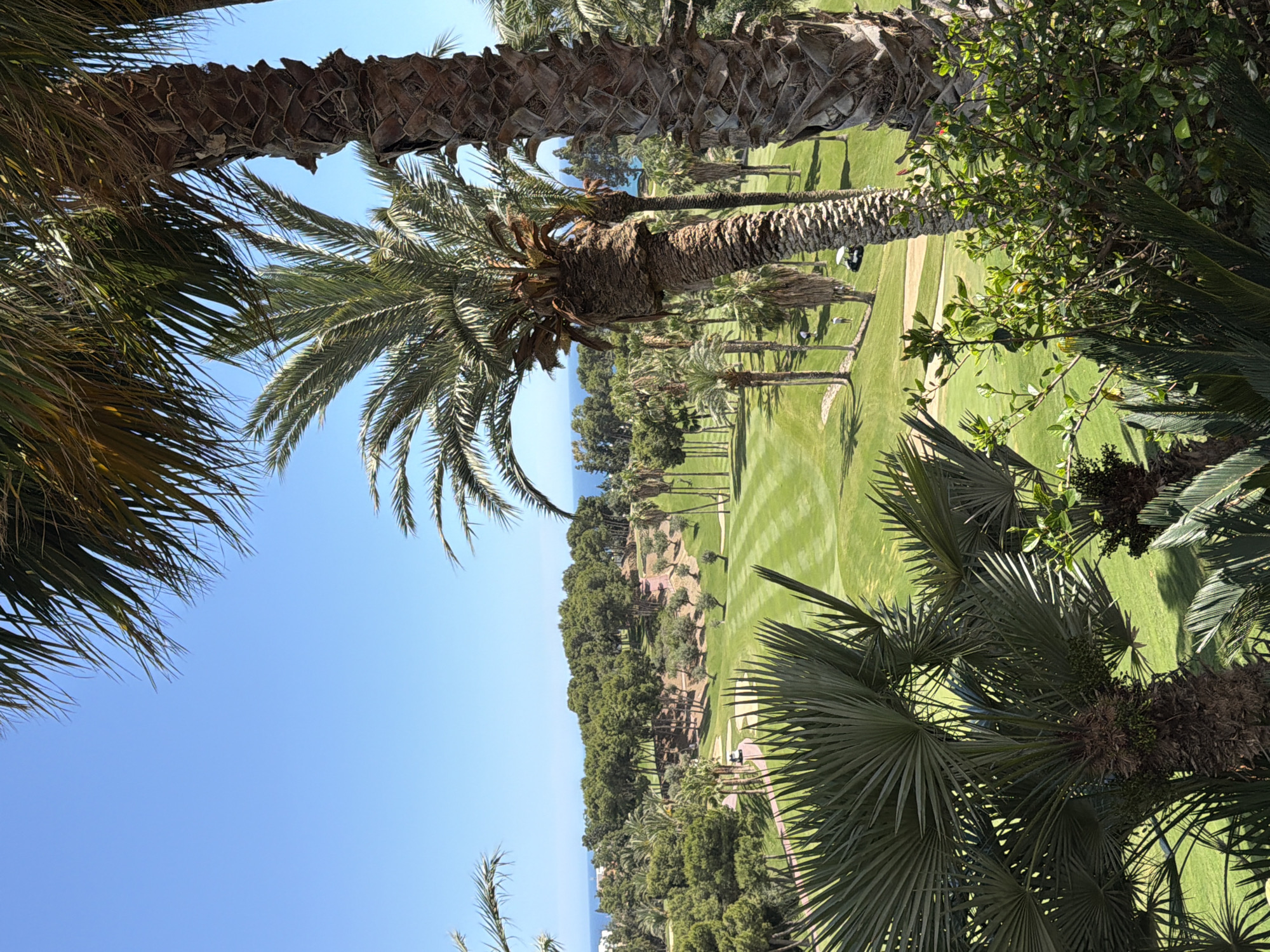Golfers enjoy sunny afternoon at Torrequebrada course, Spain