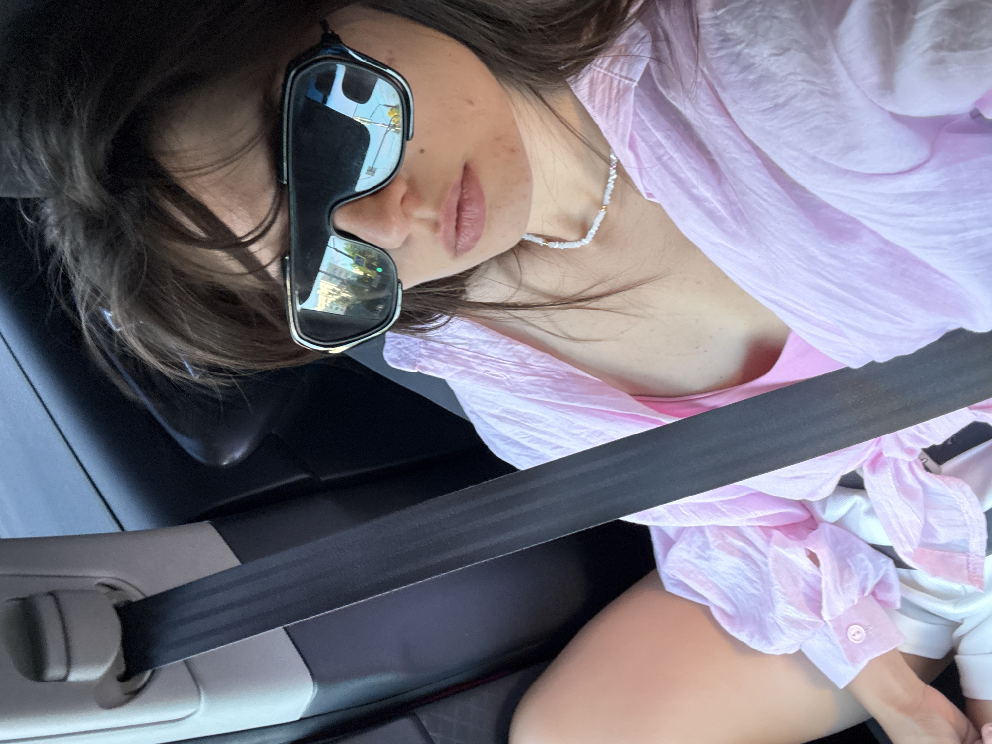 Car ride selfies and a blue-tailed dog on brick paths