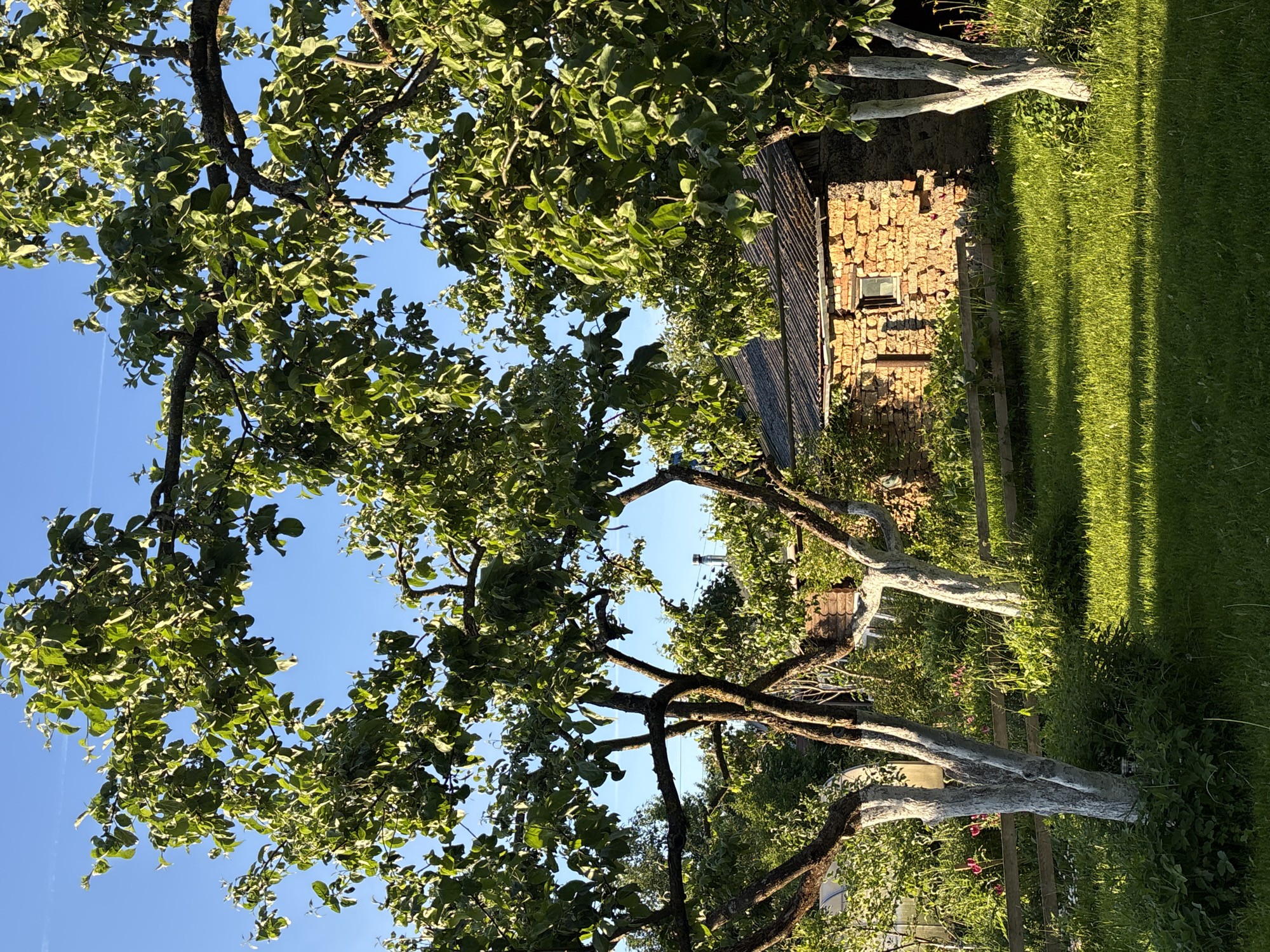 Summer Evening Life Documented in Russian Village Bolshaya Ivanovka