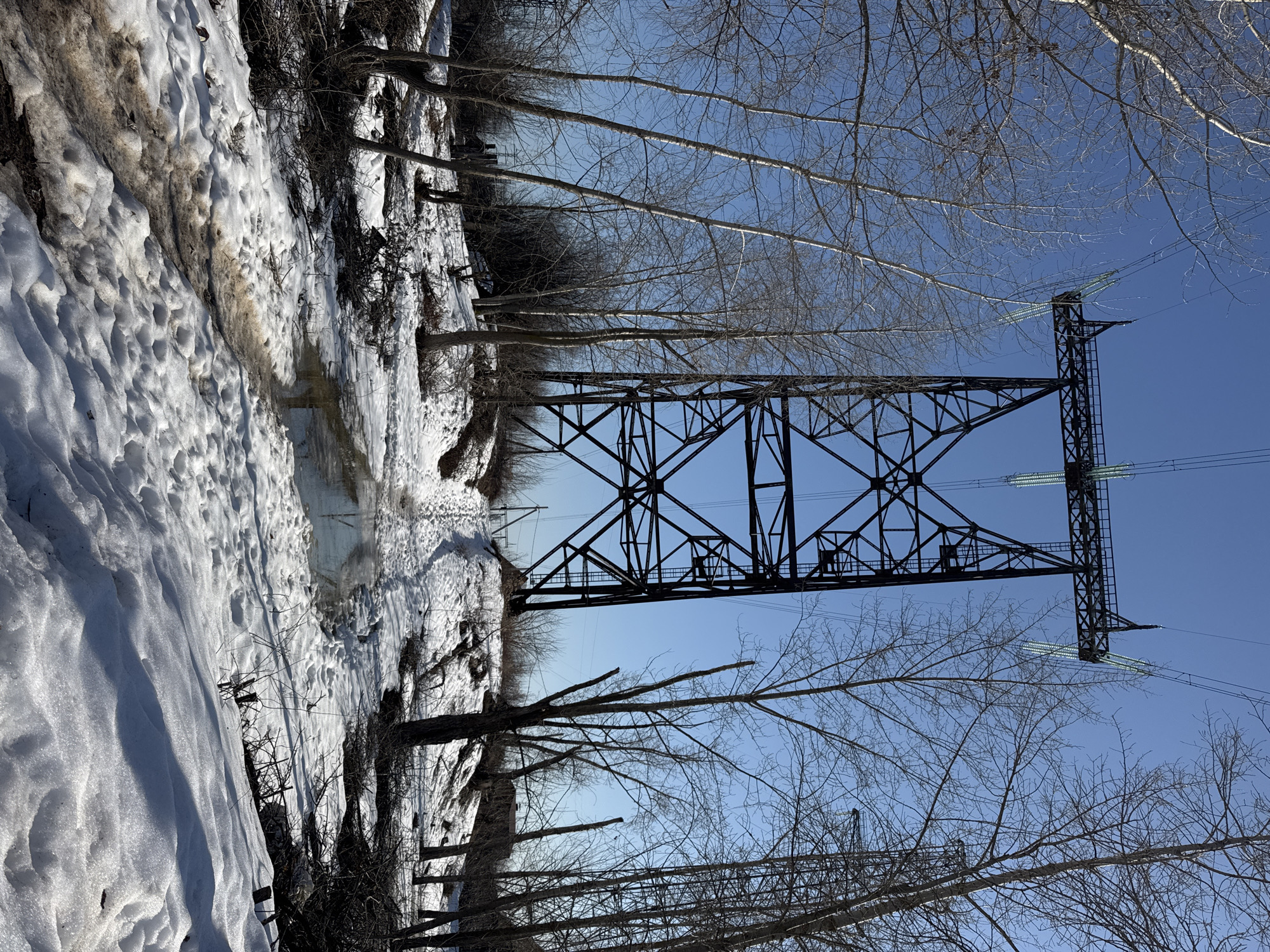 Dog Walk and Fishing Trip Along Frozen River