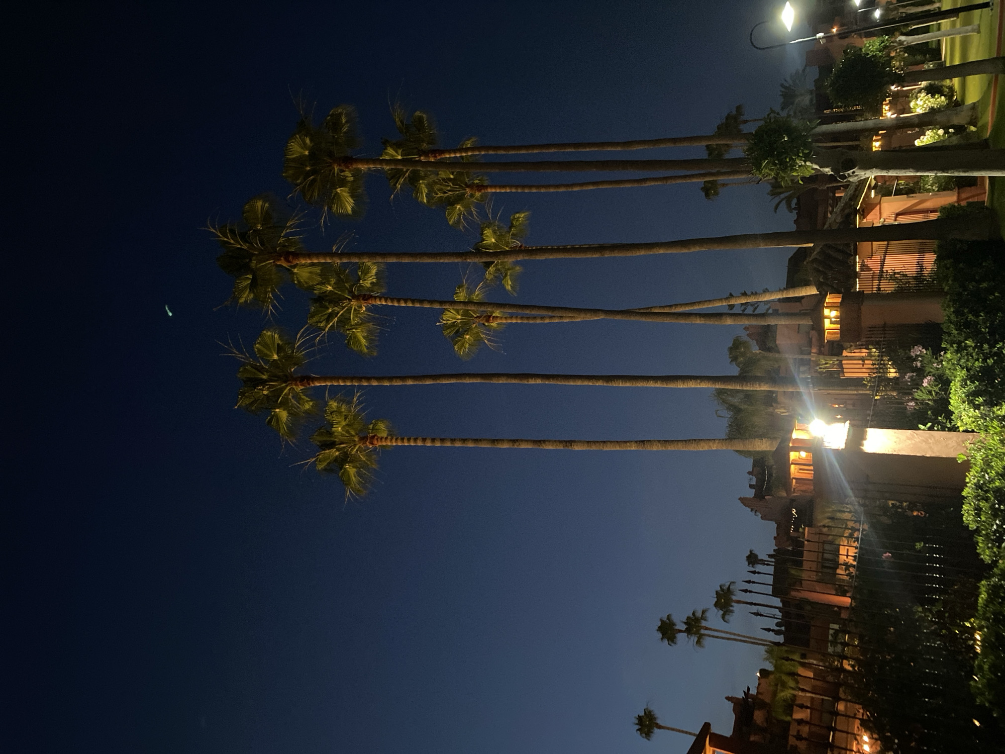 Estepona's coastal strip at dusk, summer evening