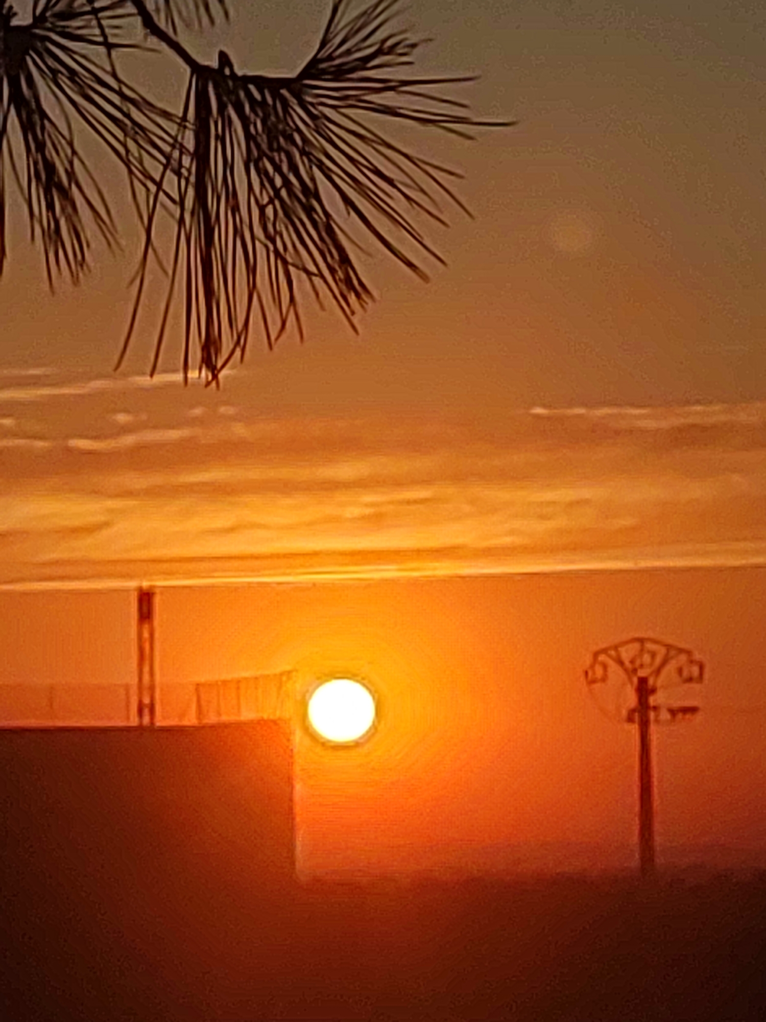 Sunset and crescent moon over pine-lined Sobradillo outskirts